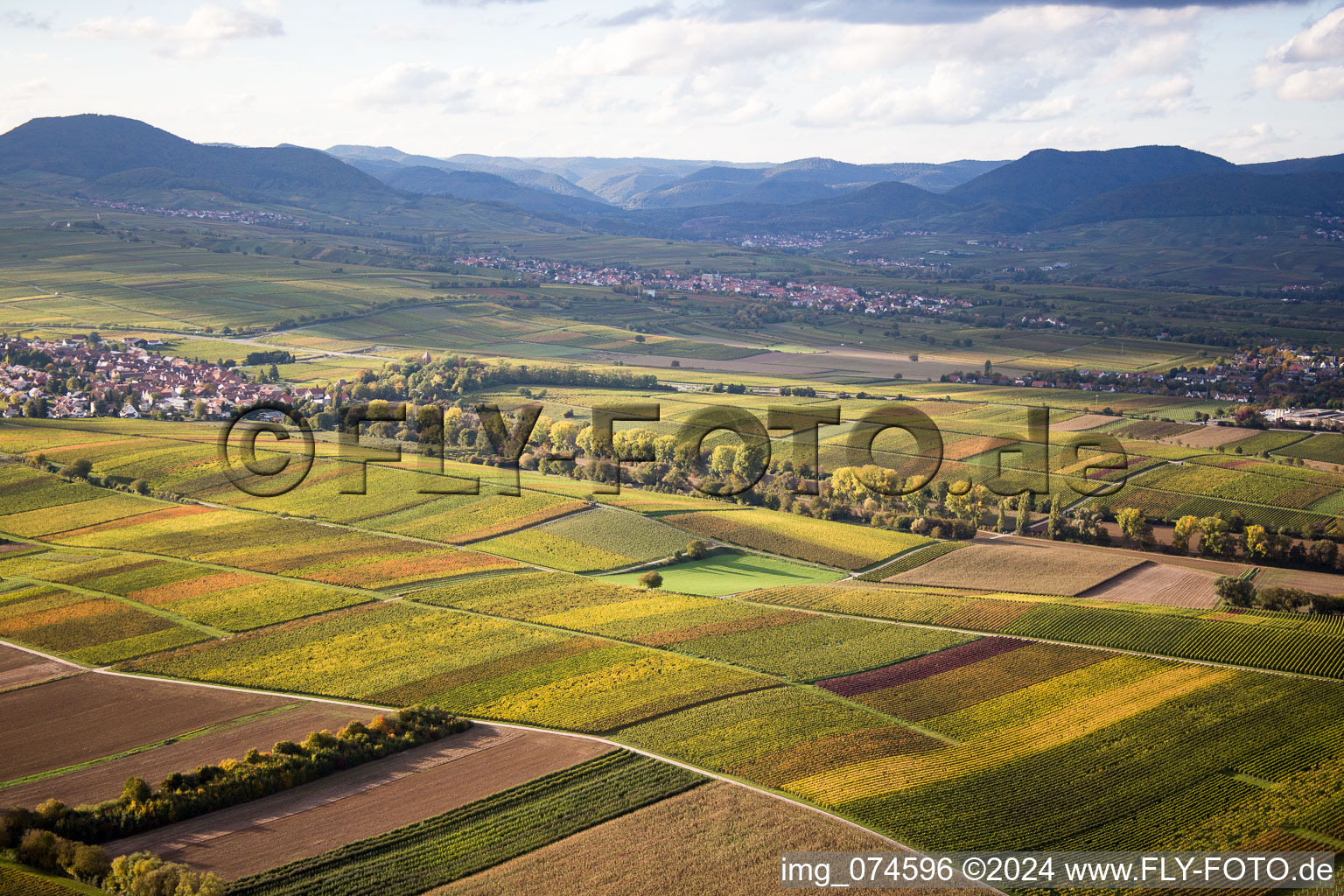 Vue aérienne de Quartier Mörzheim in Landau in der Pfalz dans le département Rhénanie-Palatinat, Allemagne