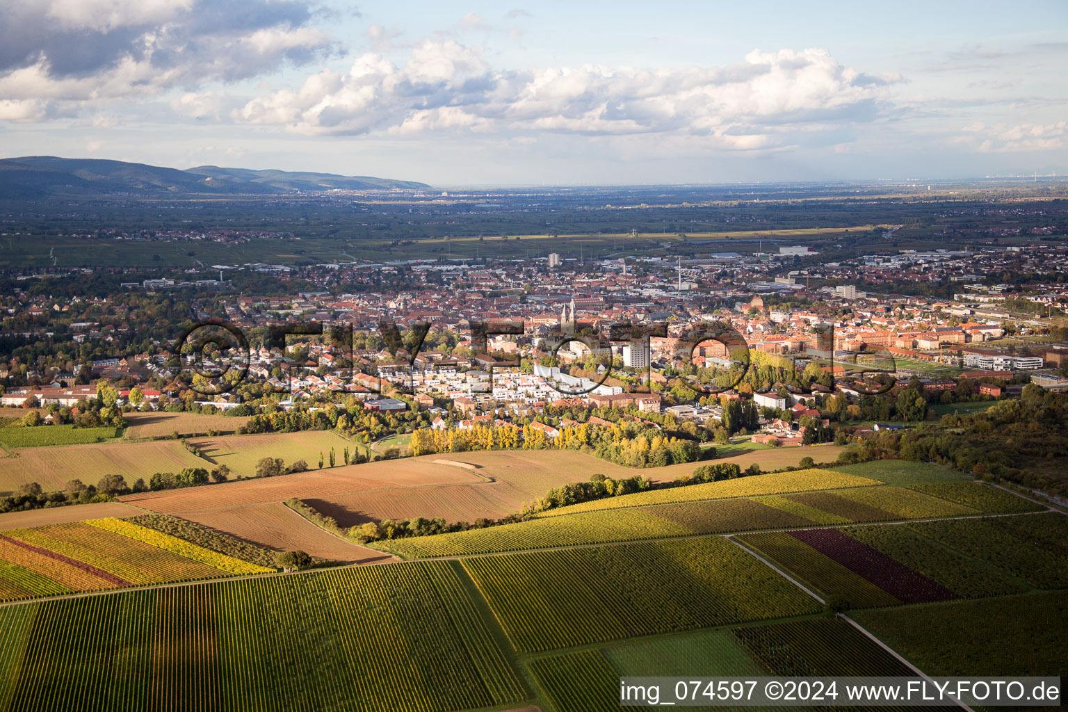 Vue aérienne de Landau du sud à Landau in der Pfalz dans le département Rhénanie-Palatinat, Allemagne