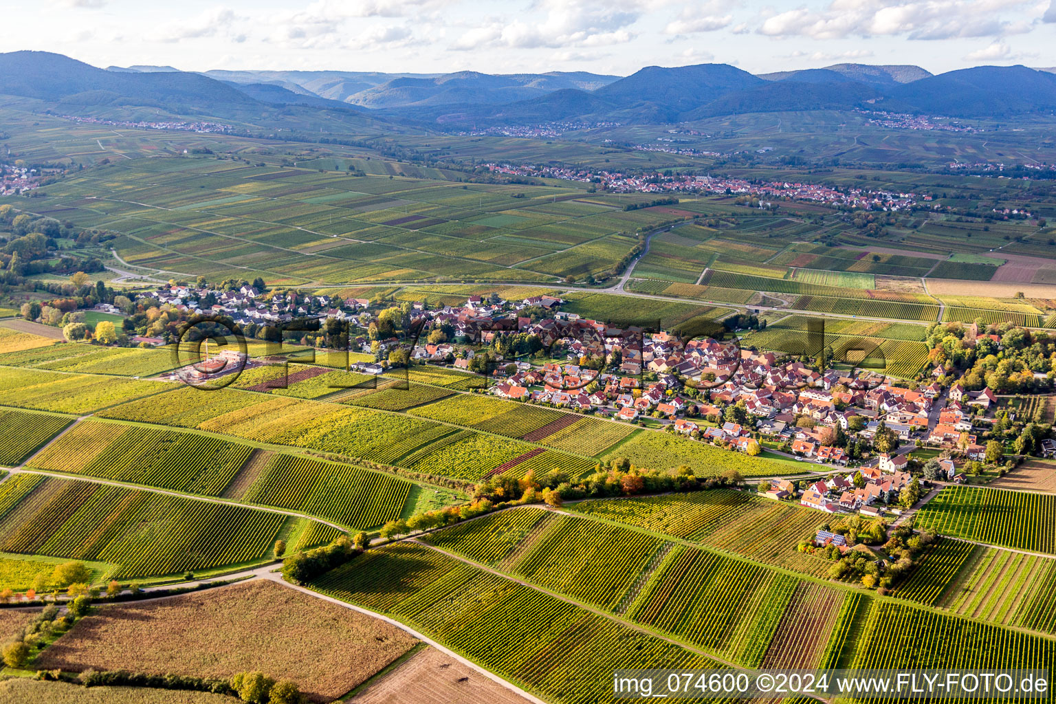 Vue aérienne de Vue de la végétation automnale décolorée des vignobles en Wollmesheim à le quartier Wollmesheim in Landau in der Pfalz dans le département Rhénanie-Palatinat, Allemagne