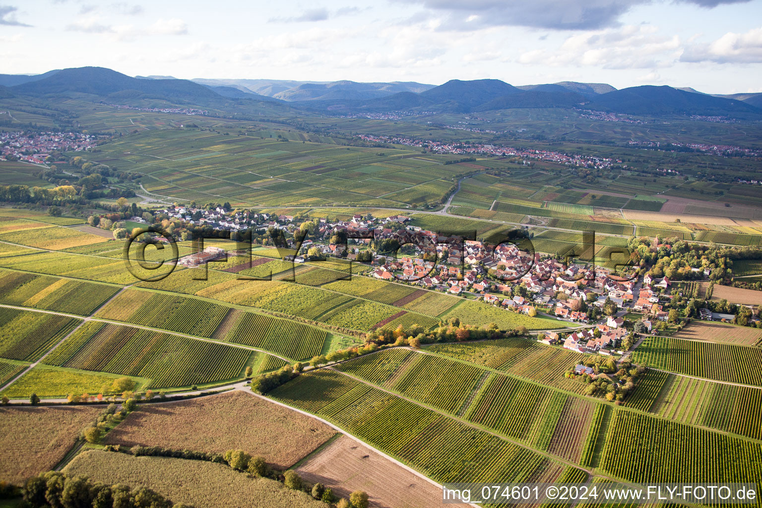 Vue aérienne de Quartier Wollmesheim in Landau in der Pfalz dans le département Rhénanie-Palatinat, Allemagne