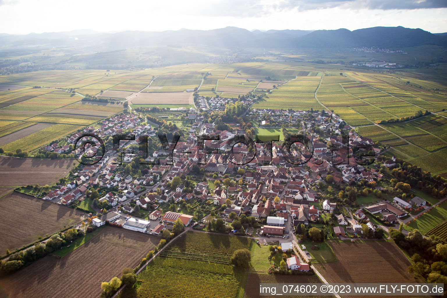 Photographie aérienne de Quartier Mörzheim in Landau in der Pfalz dans le département Rhénanie-Palatinat, Allemagne