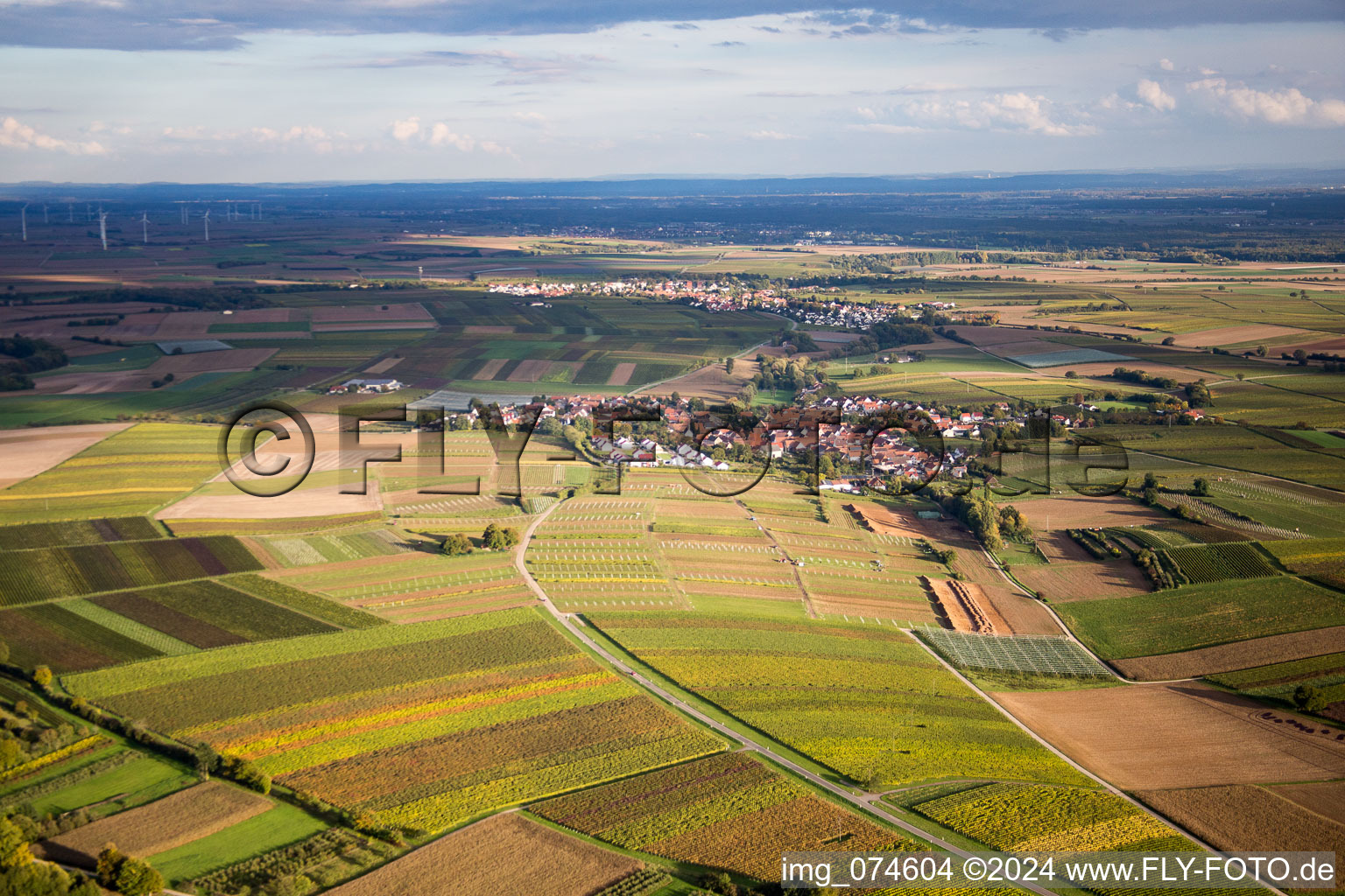 Vue aérienne de Impflingen dans le département Rhénanie-Palatinat, Allemagne