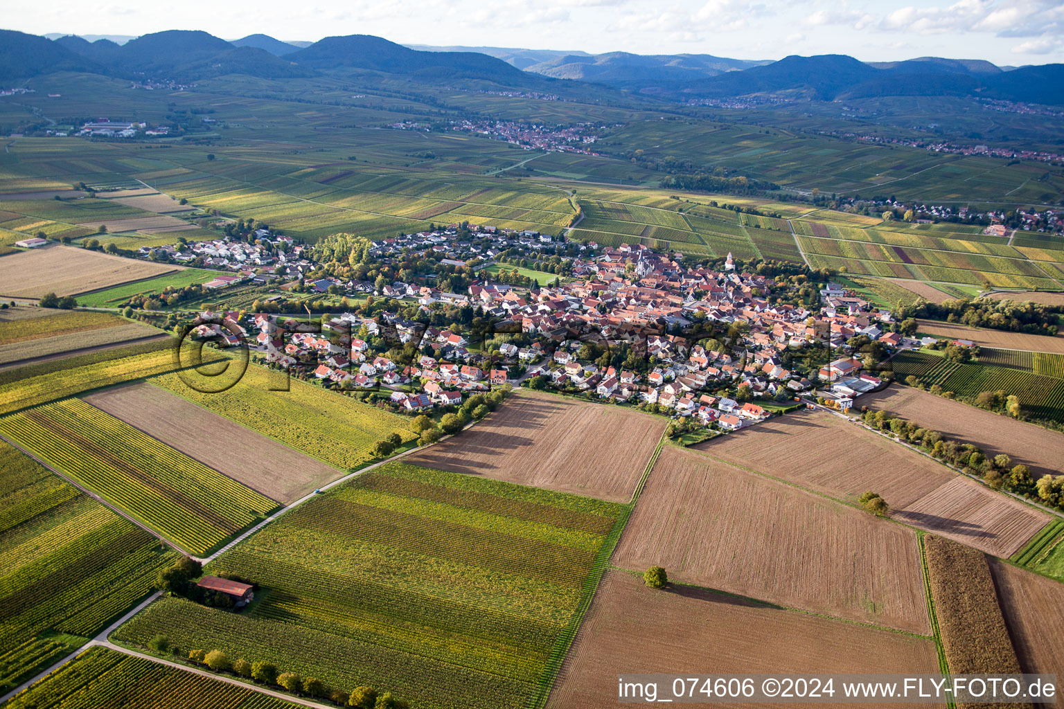 Vue oblique de Quartier Mörzheim in Landau in der Pfalz dans le département Rhénanie-Palatinat, Allemagne