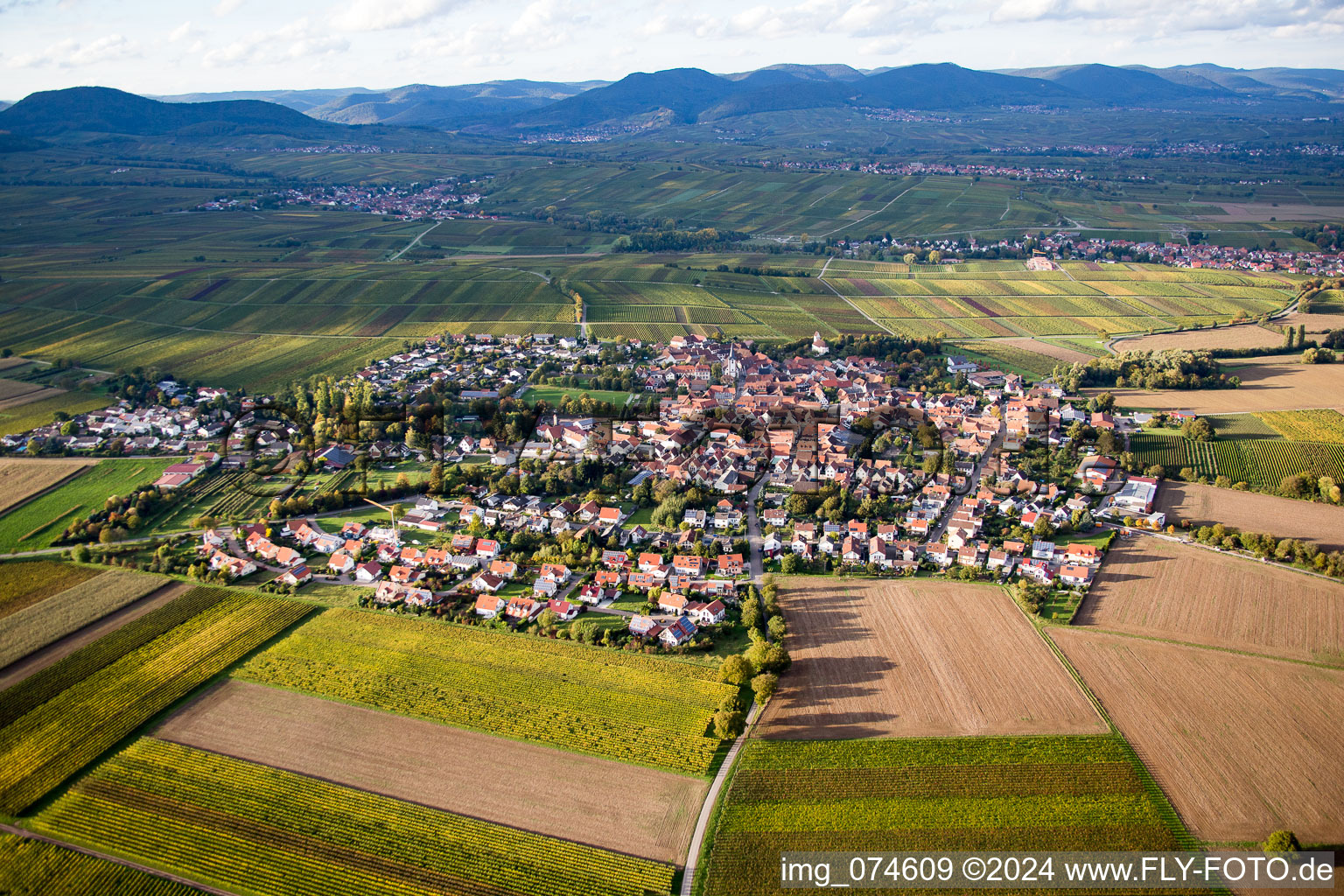 Quartier Mörzheim in Landau in der Pfalz dans le département Rhénanie-Palatinat, Allemagne d'en haut