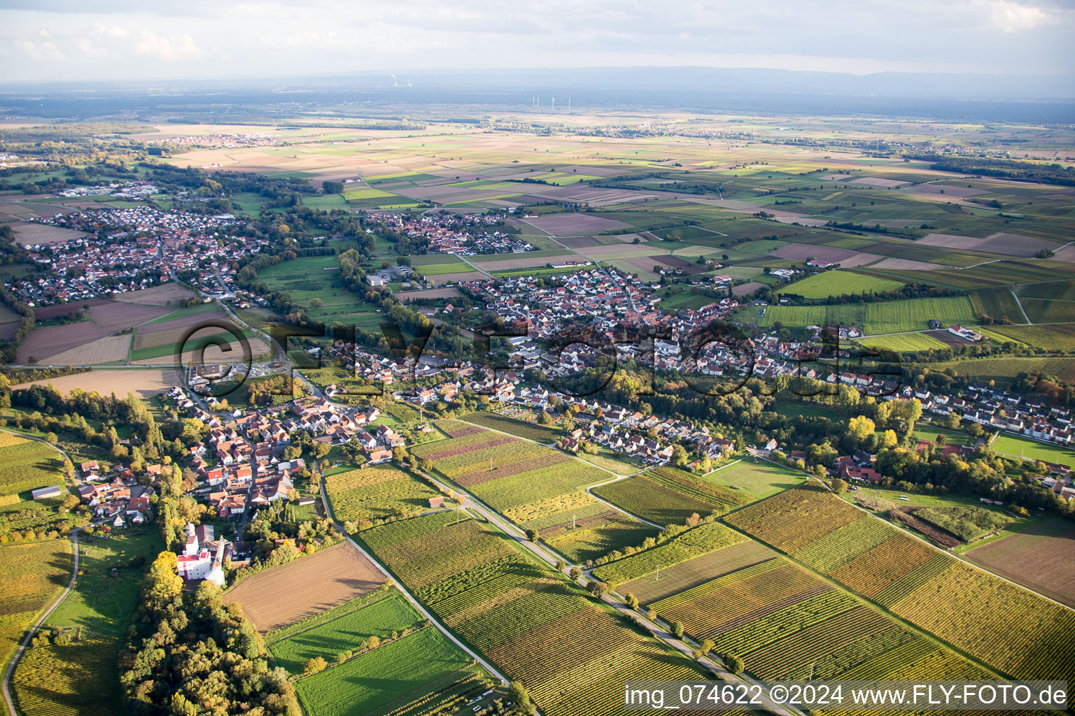 Vue aérienne de Quartier Billigheim in Billigheim-Ingenheim dans le département Rhénanie-Palatinat, Allemagne