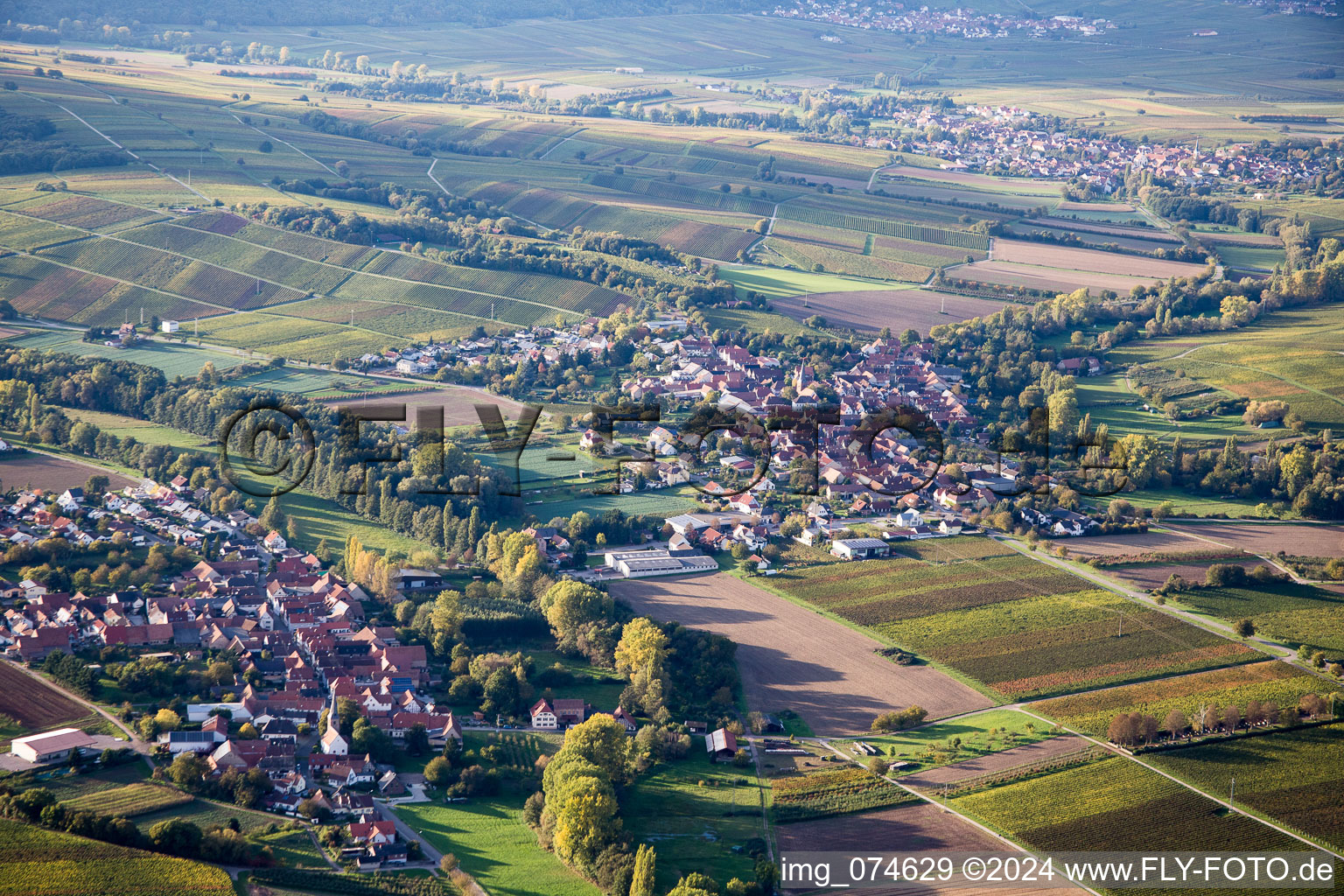 Photographie aérienne de Quartier Billigheim in Billigheim-Ingenheim dans le département Rhénanie-Palatinat, Allemagne