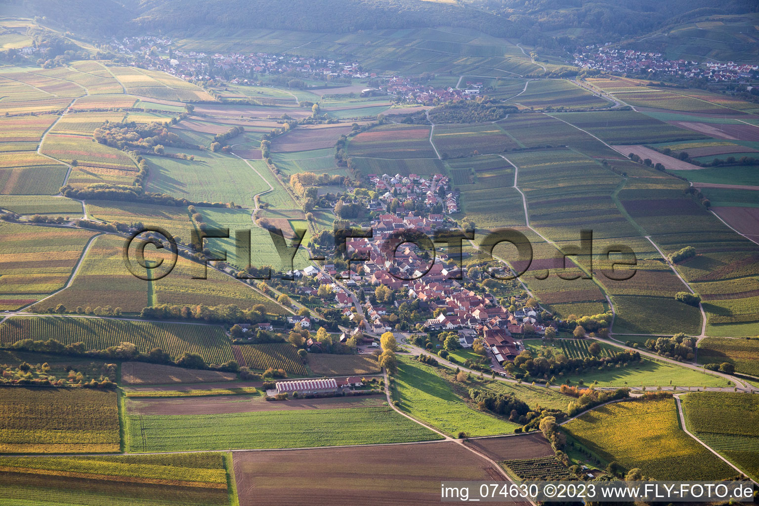 Vue aérienne de Niederhorbach dans le département Rhénanie-Palatinat, Allemagne