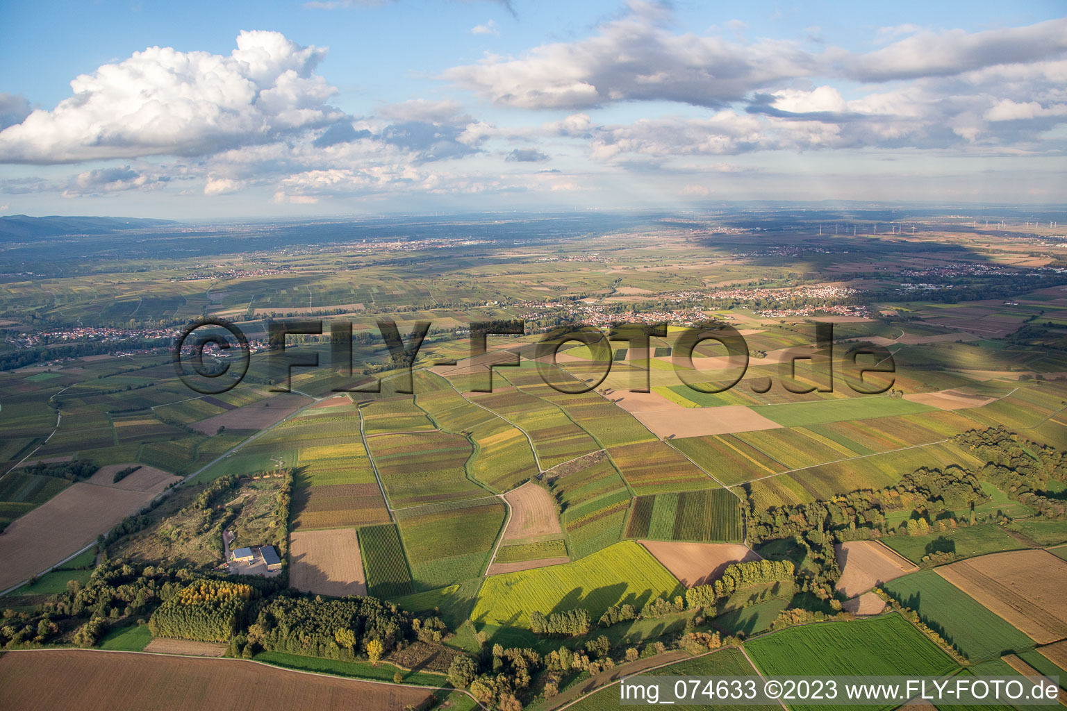 Vue aérienne de Du sud à le quartier Billigheim in Billigheim-Ingenheim dans le département Rhénanie-Palatinat, Allemagne