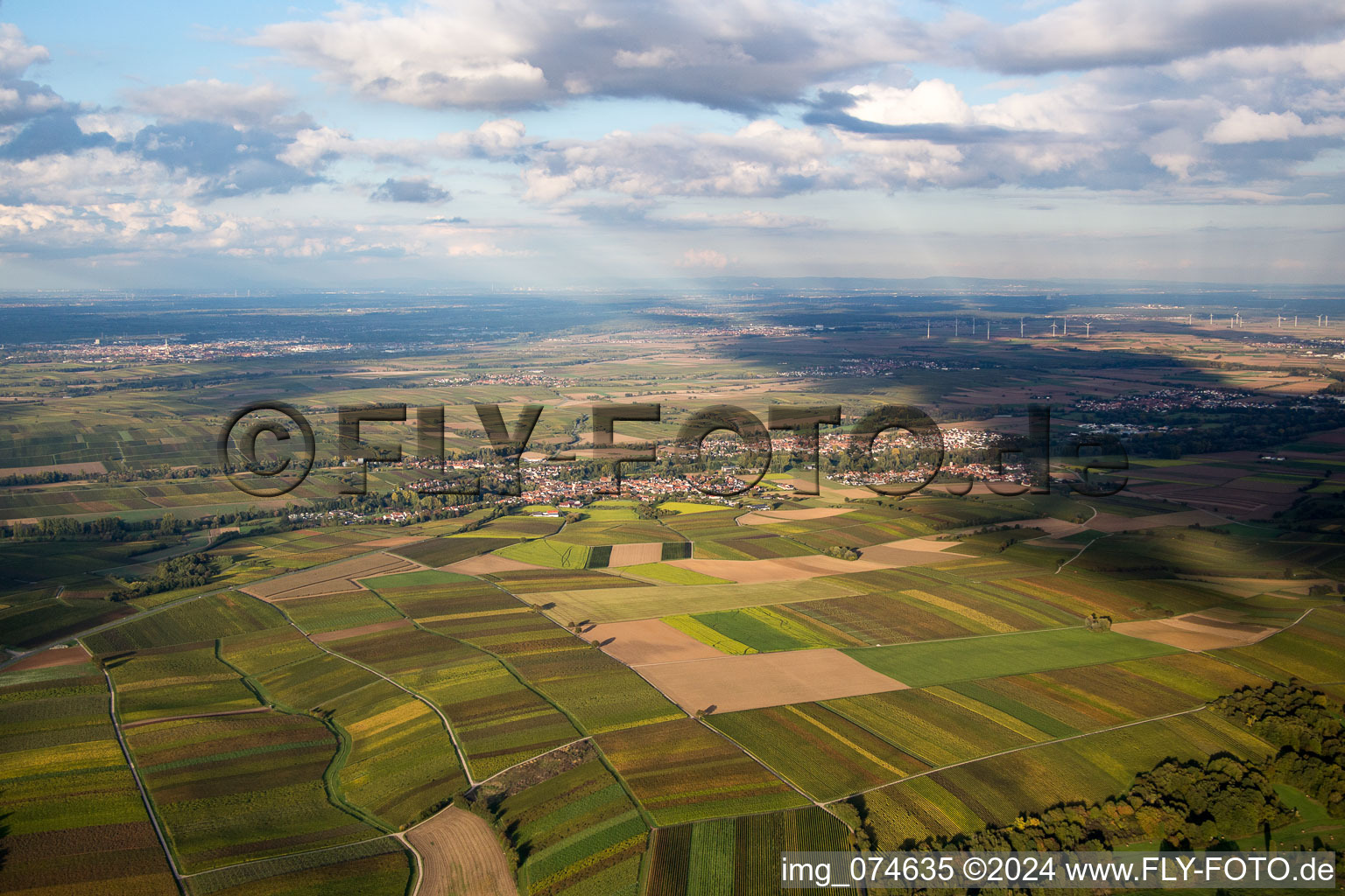 Vue aérienne de Du sud à le quartier Billigheim in Billigheim-Ingenheim dans le département Rhénanie-Palatinat, Allemagne