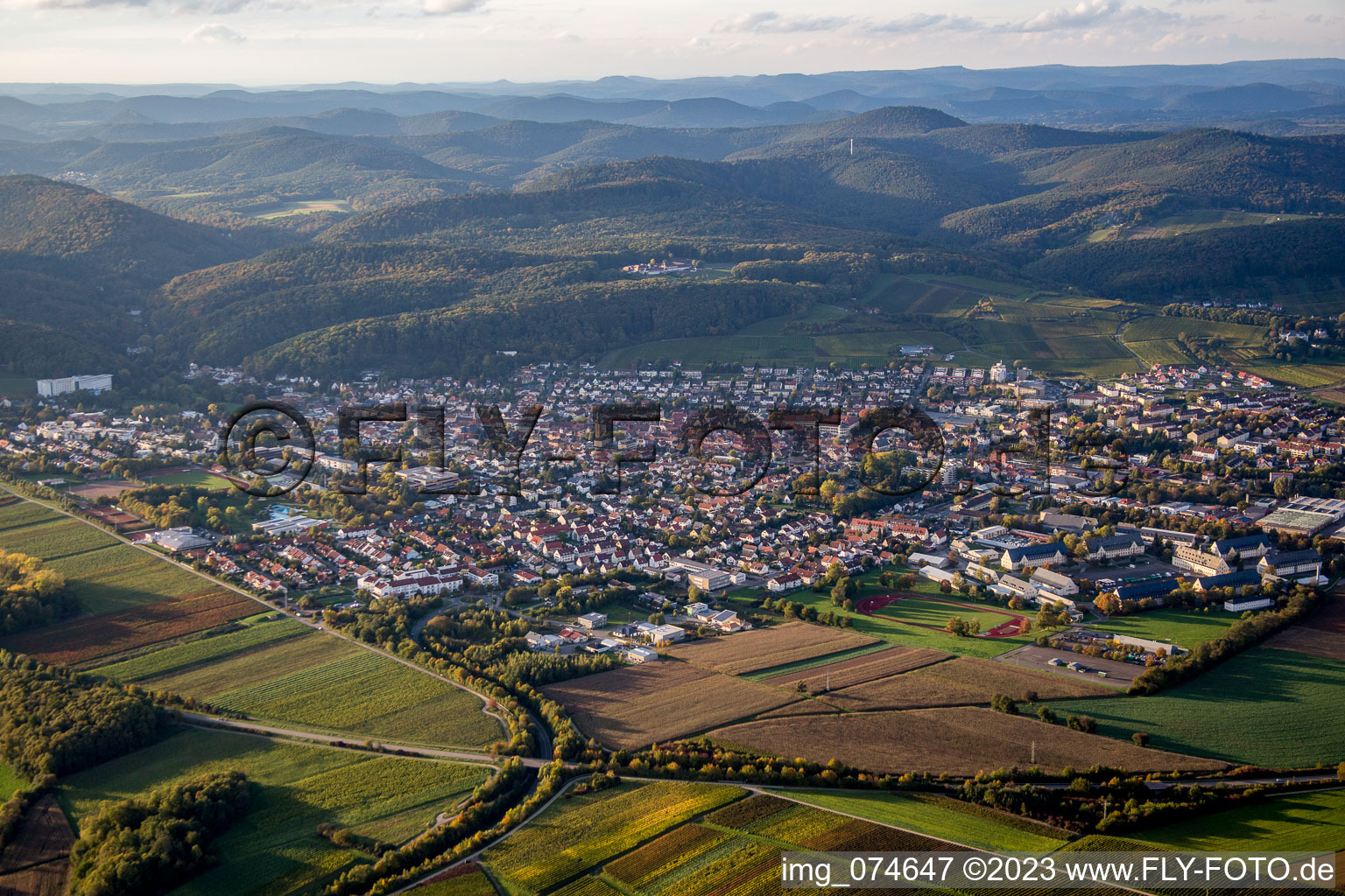 Photographie aérienne de Bad Bergzabern dans le département Rhénanie-Palatinat, Allemagne