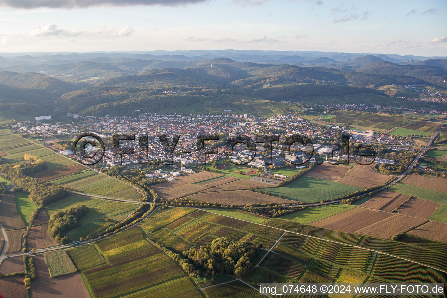 Vue oblique de Bad Bergzabern dans le département Rhénanie-Palatinat, Allemagne