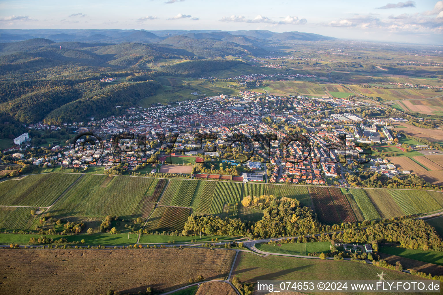 Bad Bergzabern dans le département Rhénanie-Palatinat, Allemagne d'en haut