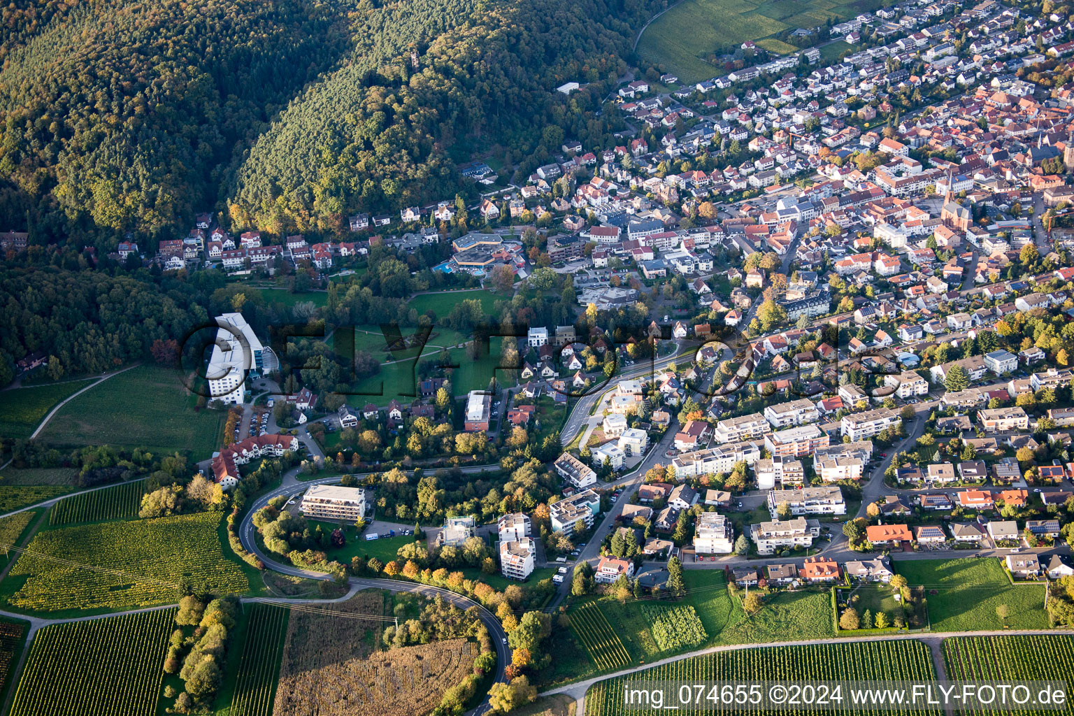 Bad Bergzabern dans le département Rhénanie-Palatinat, Allemagne hors des airs