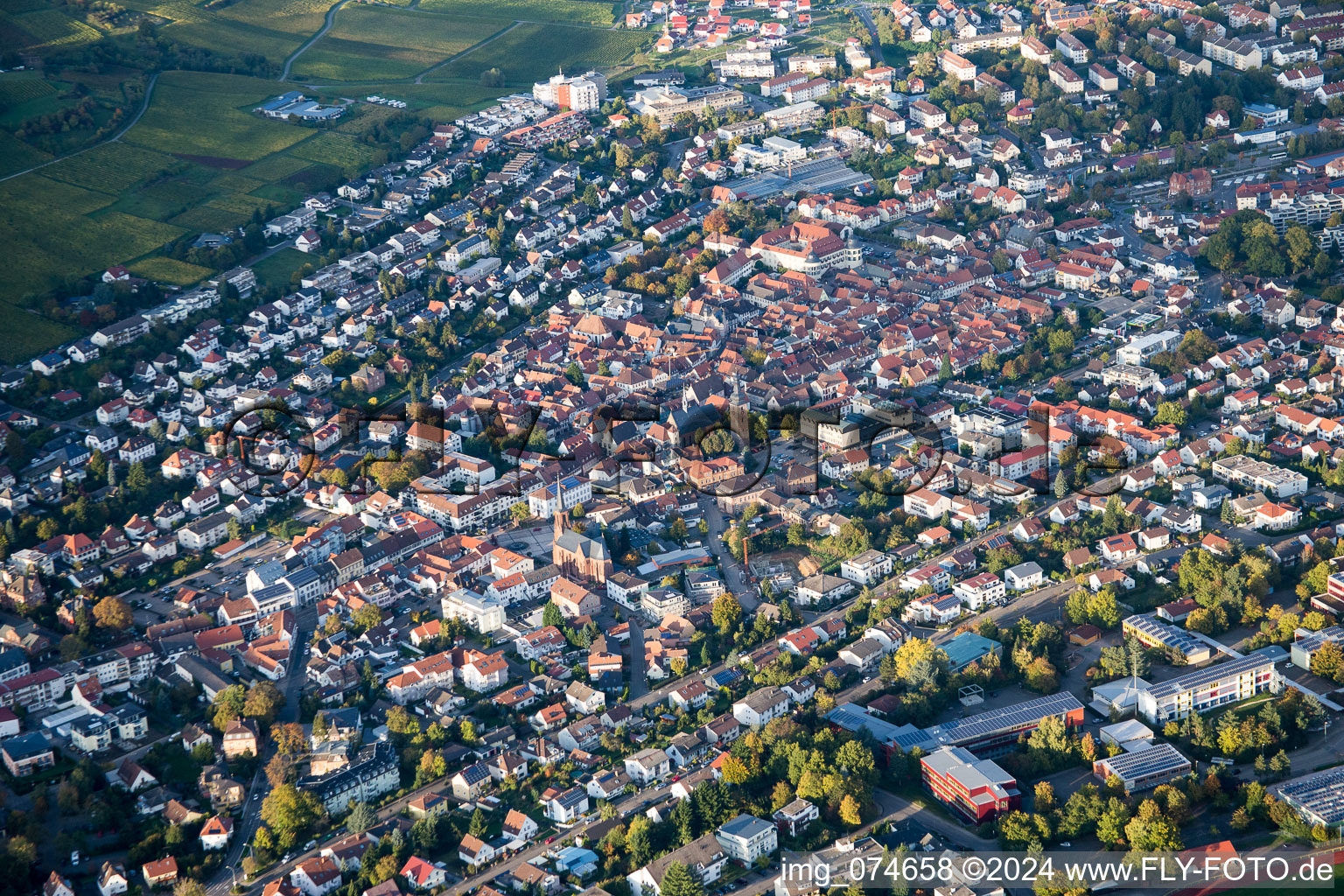 Vue d'oiseau de Bad Bergzabern dans le département Rhénanie-Palatinat, Allemagne