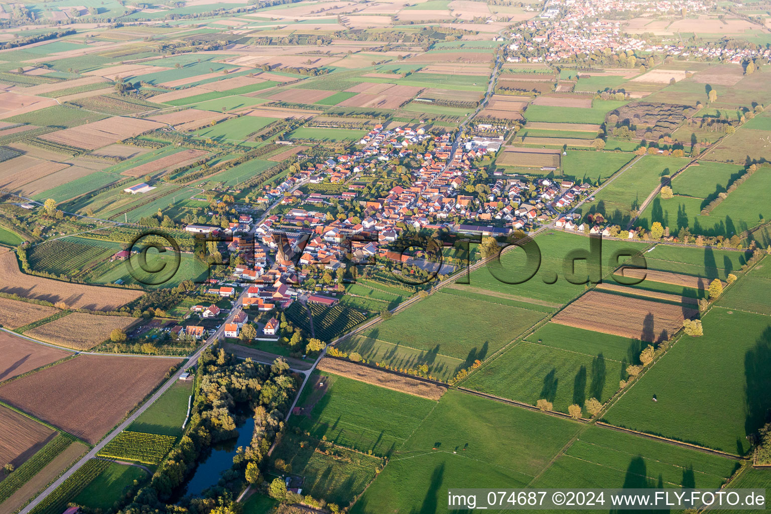 Vue aérienne de Champs agricoles et surfaces utilisables à Schweighofen dans le département Rhénanie-Palatinat, Allemagne