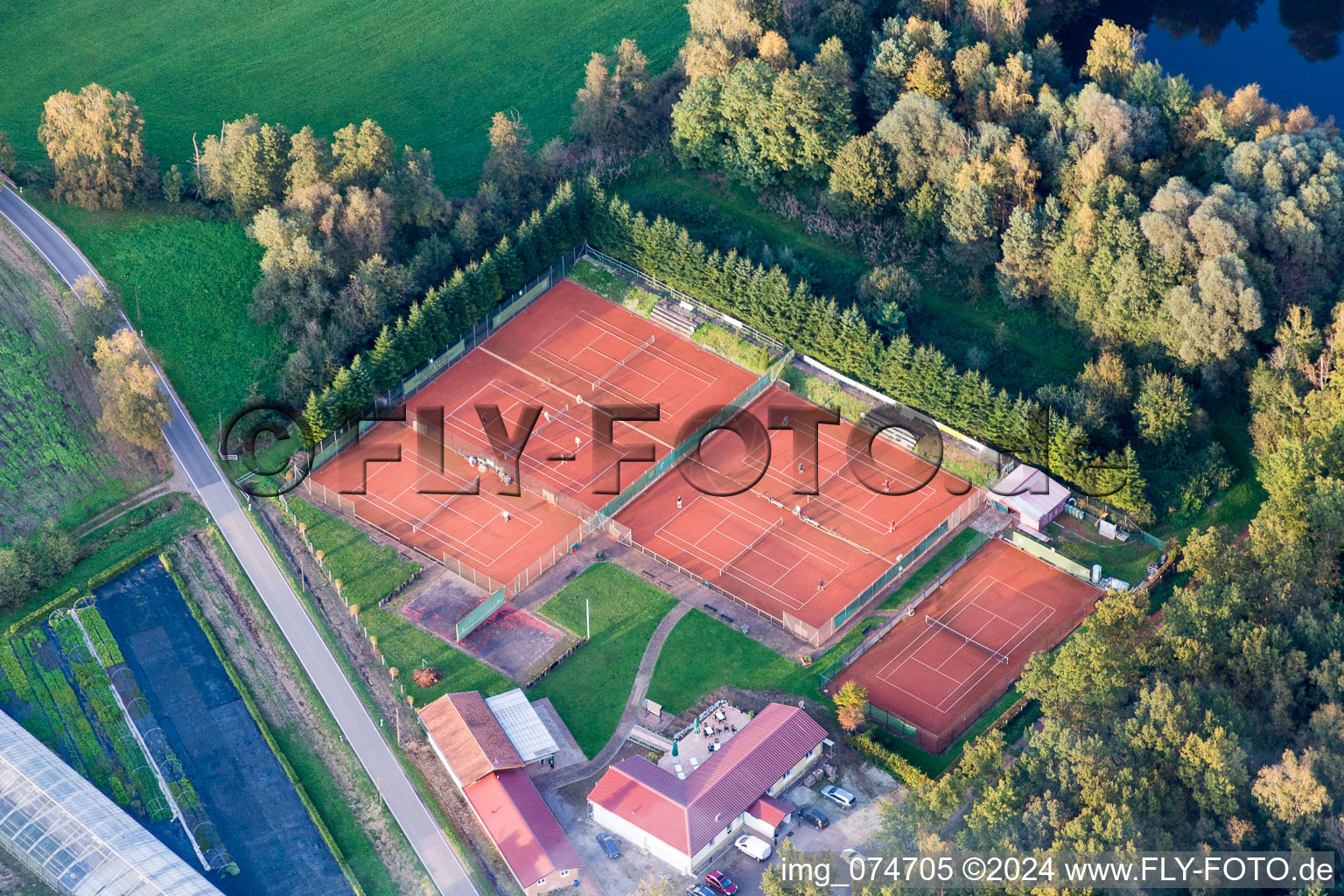 Vue aérienne de Court de tennis de couleur rouge-marron du TC Bienwald au Restaurant zum Bienwald à Steinfeld dans le département Rhénanie-Palatinat, Allemagne