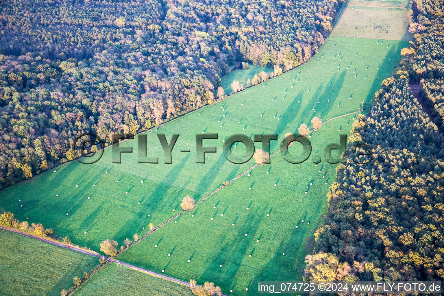 Minfeld dans le département Rhénanie-Palatinat, Allemagne vue d'en haut