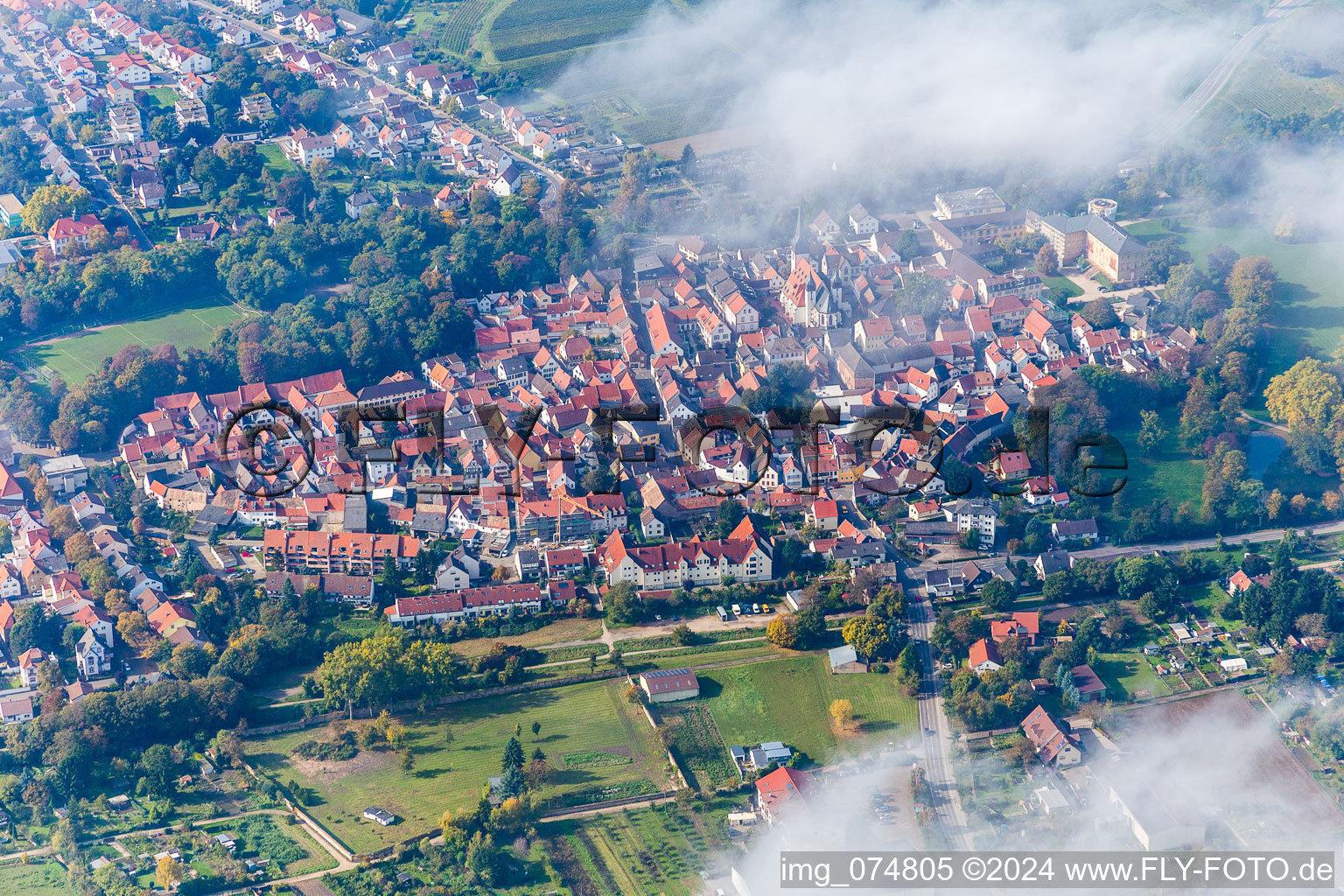 Vue aérienne de Vue sur le village à le quartier Herrnsheim in Worms dans le département Rhénanie-Palatinat, Allemagne