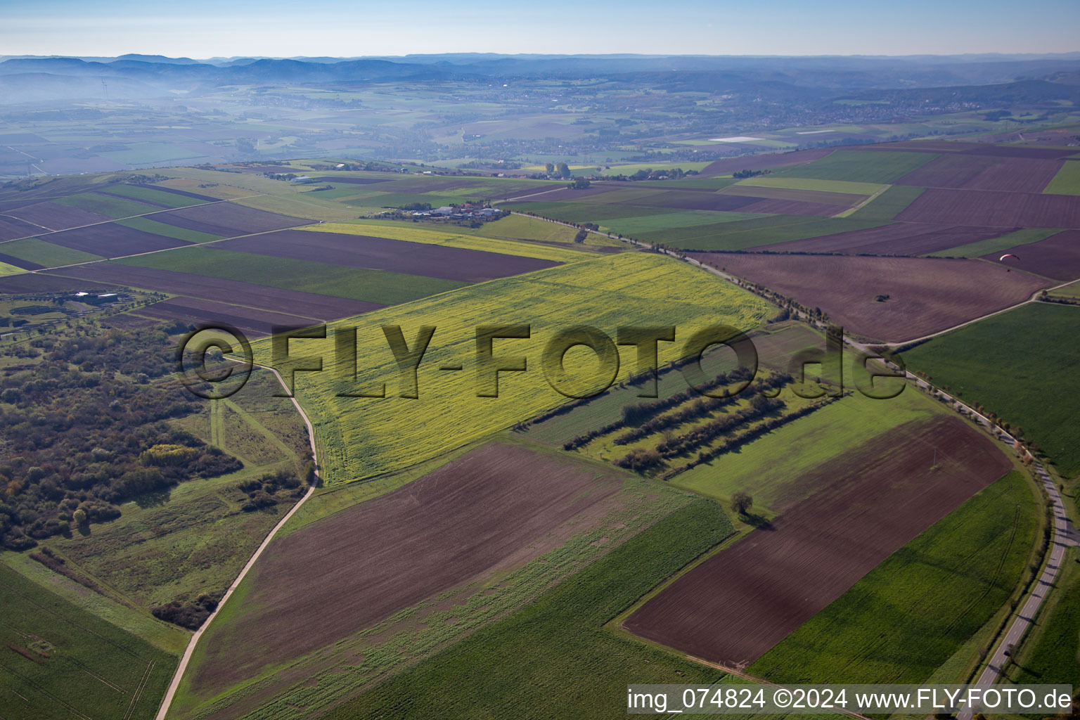 Vue aérienne de Grünstadt, escale à l'aérodrome de planeurs de Quirnheimer Berg à Kindenheim dans le département Rhénanie-Palatinat, Allemagne