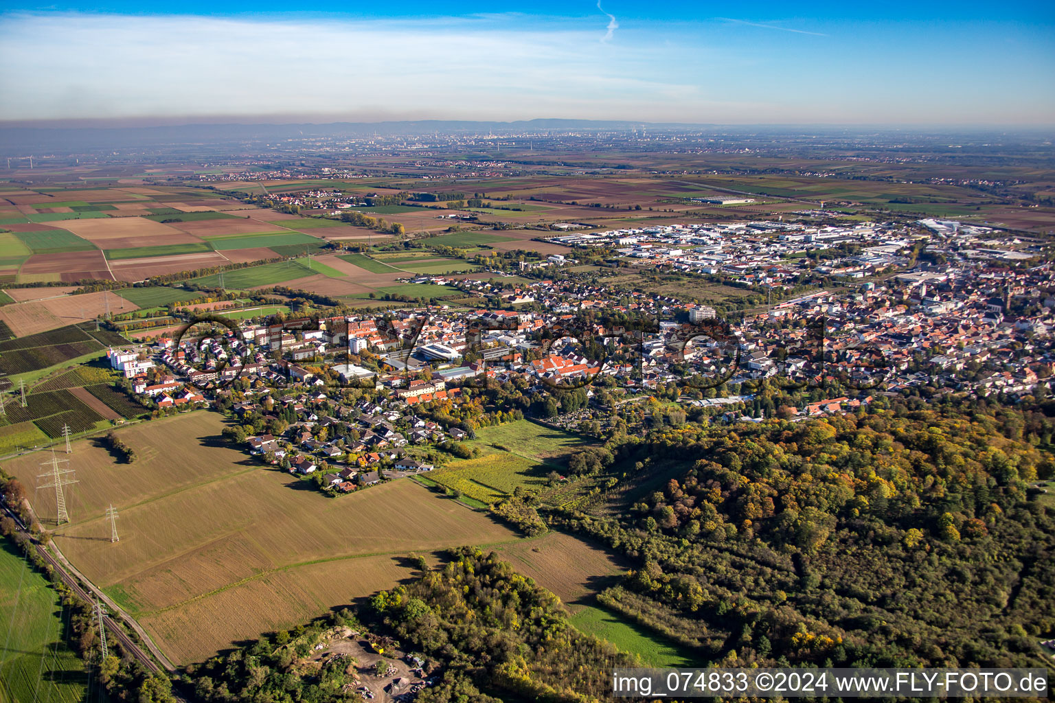 Vue aérienne de Du nord-ouest à Grünstadt dans le département Rhénanie-Palatinat, Allemagne