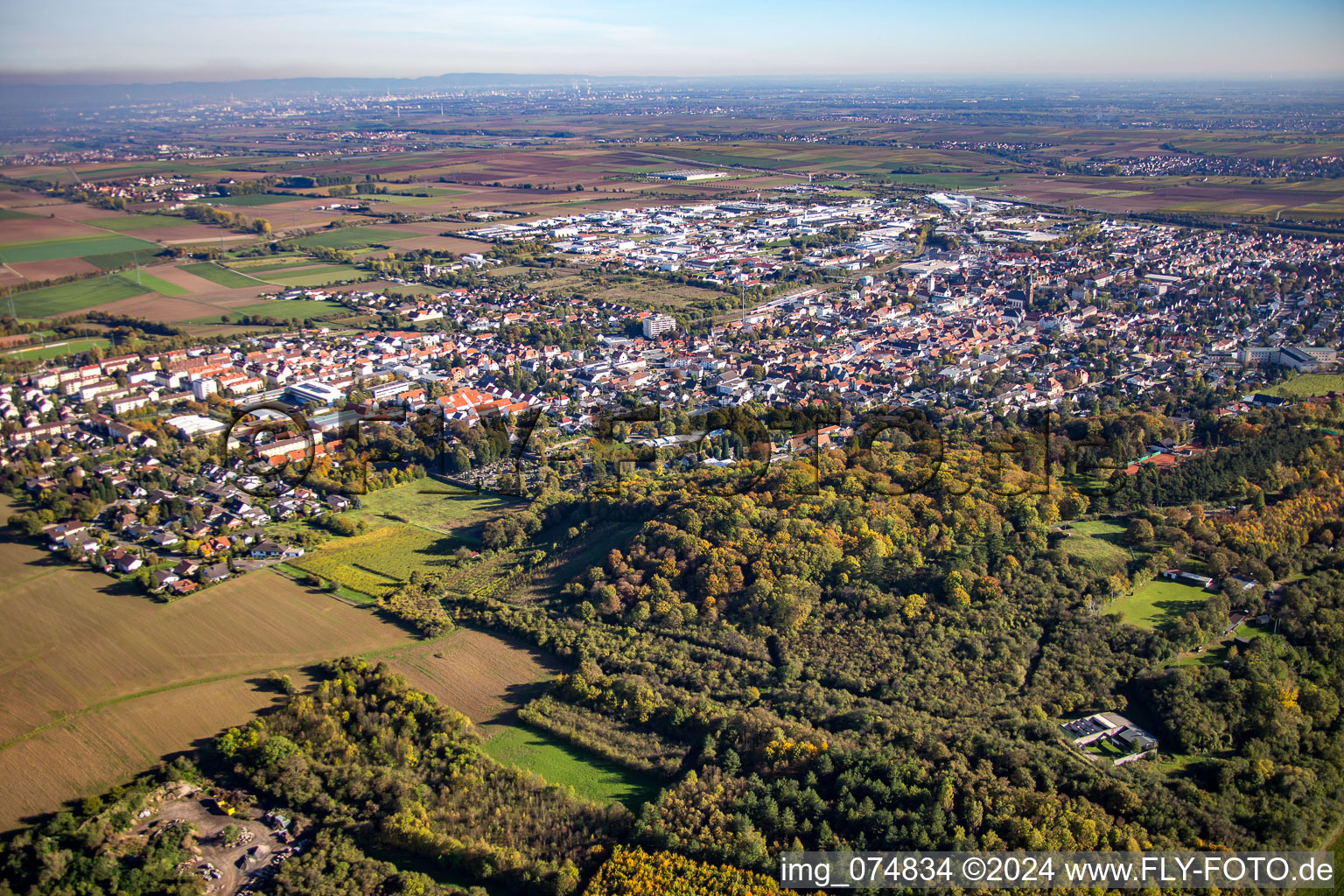 Vue aérienne de Du nord-ouest à Grünstadt dans le département Rhénanie-Palatinat, Allemagne