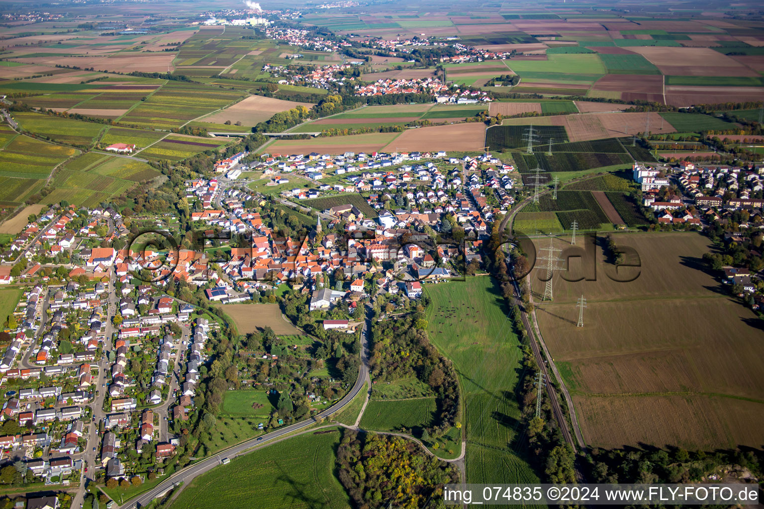 Vue aérienne de Vue des rues et des maisons des quartiers résidentiels à le quartier Asselheim in Grünstadt dans le département Rhénanie-Palatinat, Allemagne