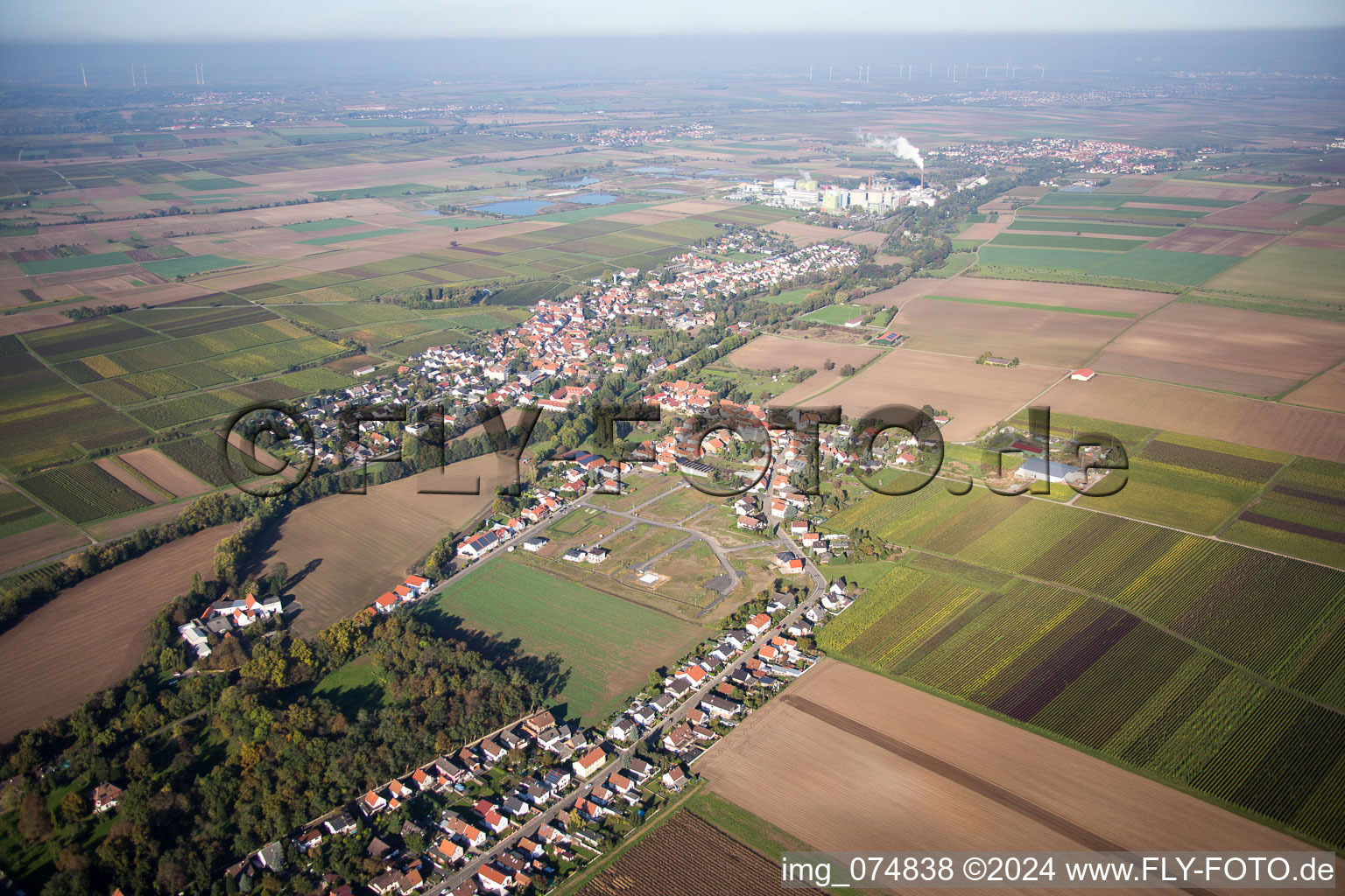 Vue aérienne de Heidesheim dans le département Rhénanie-Palatinat, Allemagne