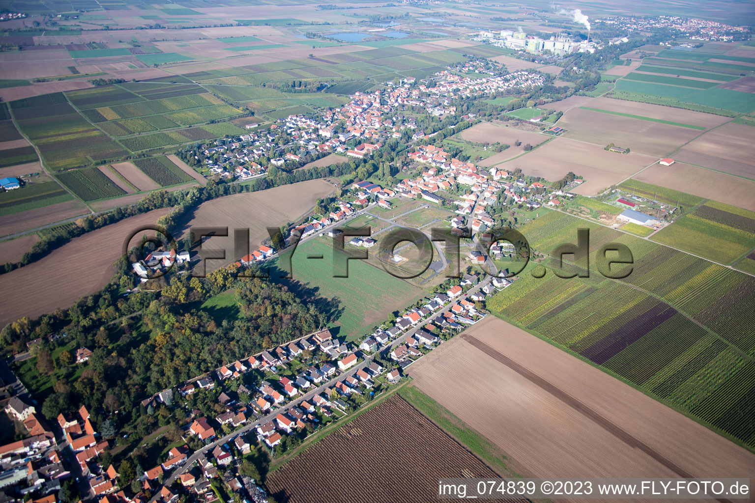 Vue aérienne de Heidesheim dans le département Rhénanie-Palatinat, Allemagne