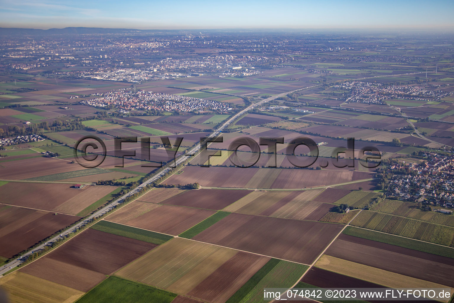 Vue aérienne de Beindersheim dans le département Rhénanie-Palatinat, Allemagne