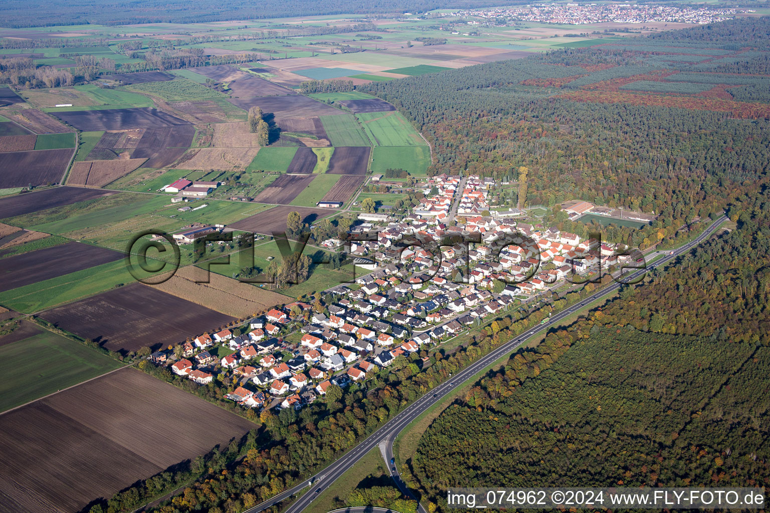 Vue aérienne de Quartier Riedrode in Bürstadt dans le département Hesse, Allemagne