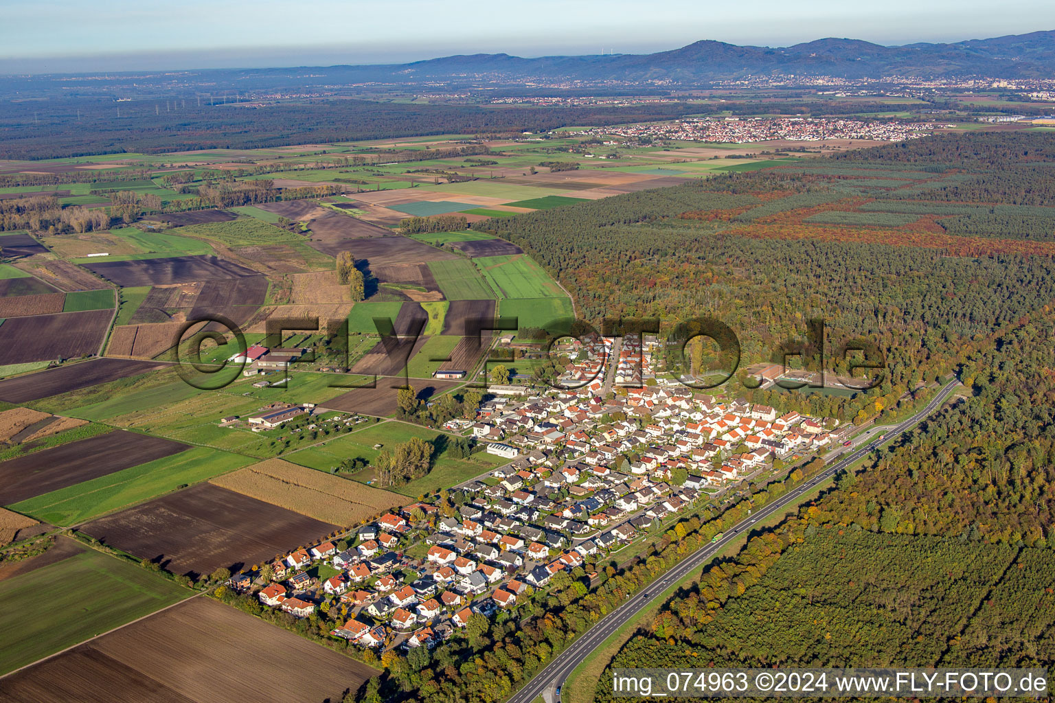 Vue aérienne de Quartier Riedrode in Bürstadt dans le département Hesse, Allemagne