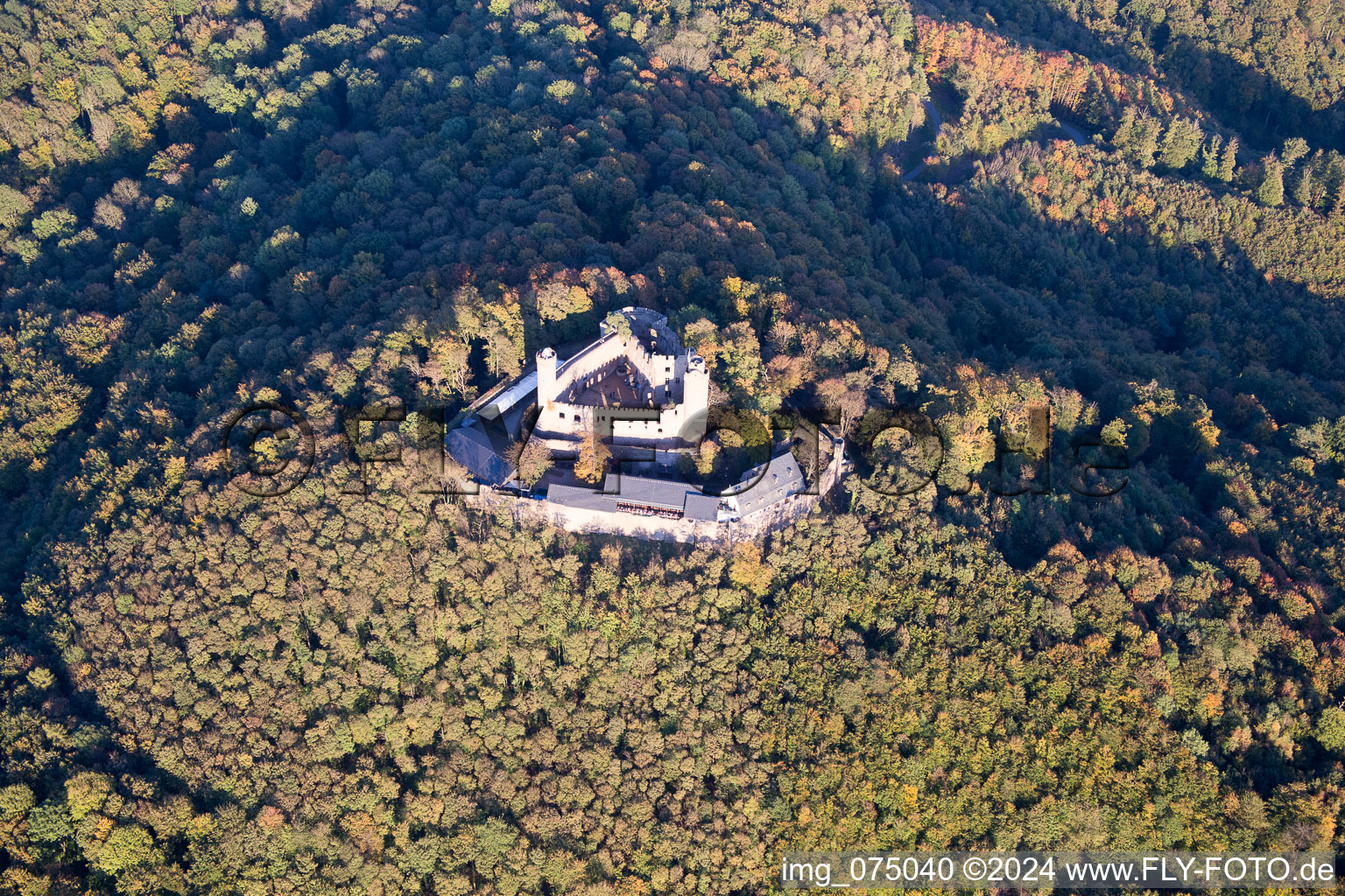 Vue aérienne de Ruines et vestiges des murs de l'ancien complexe du château et de la forteresse Auerbach de Schloss Auerbach GmbH dans le quartier d'Alsbach à Alsbach-Hähnlein à le quartier Auerbach in Bensheim dans le département Hesse, Allemagne