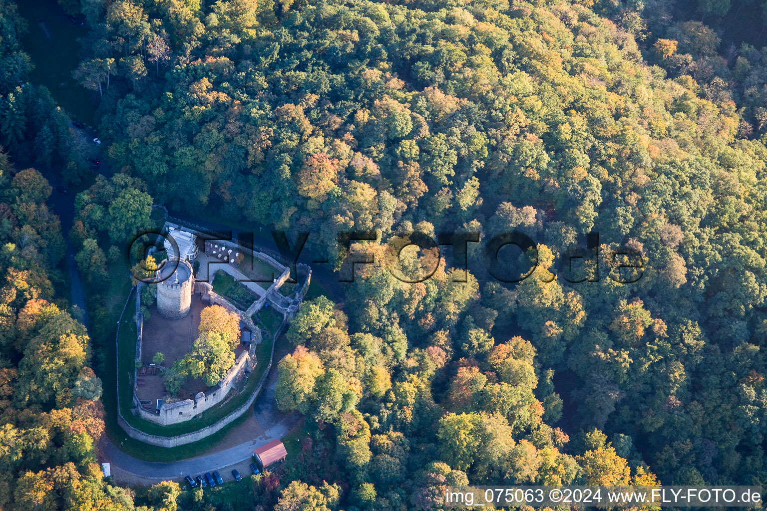 Vue aérienne de Château d'Alsbach à Alsbach-Hähnlein dans le département Hesse, Allemagne