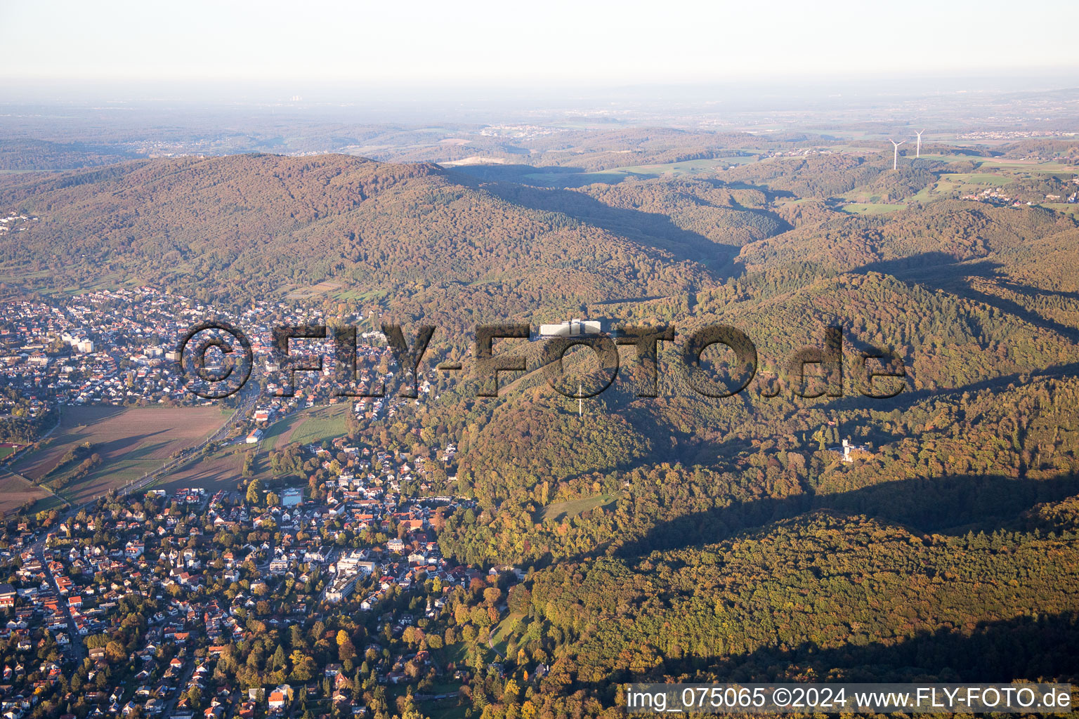 Vue aérienne de Alsbach-Hähnlein dans le département Hesse, Allemagne