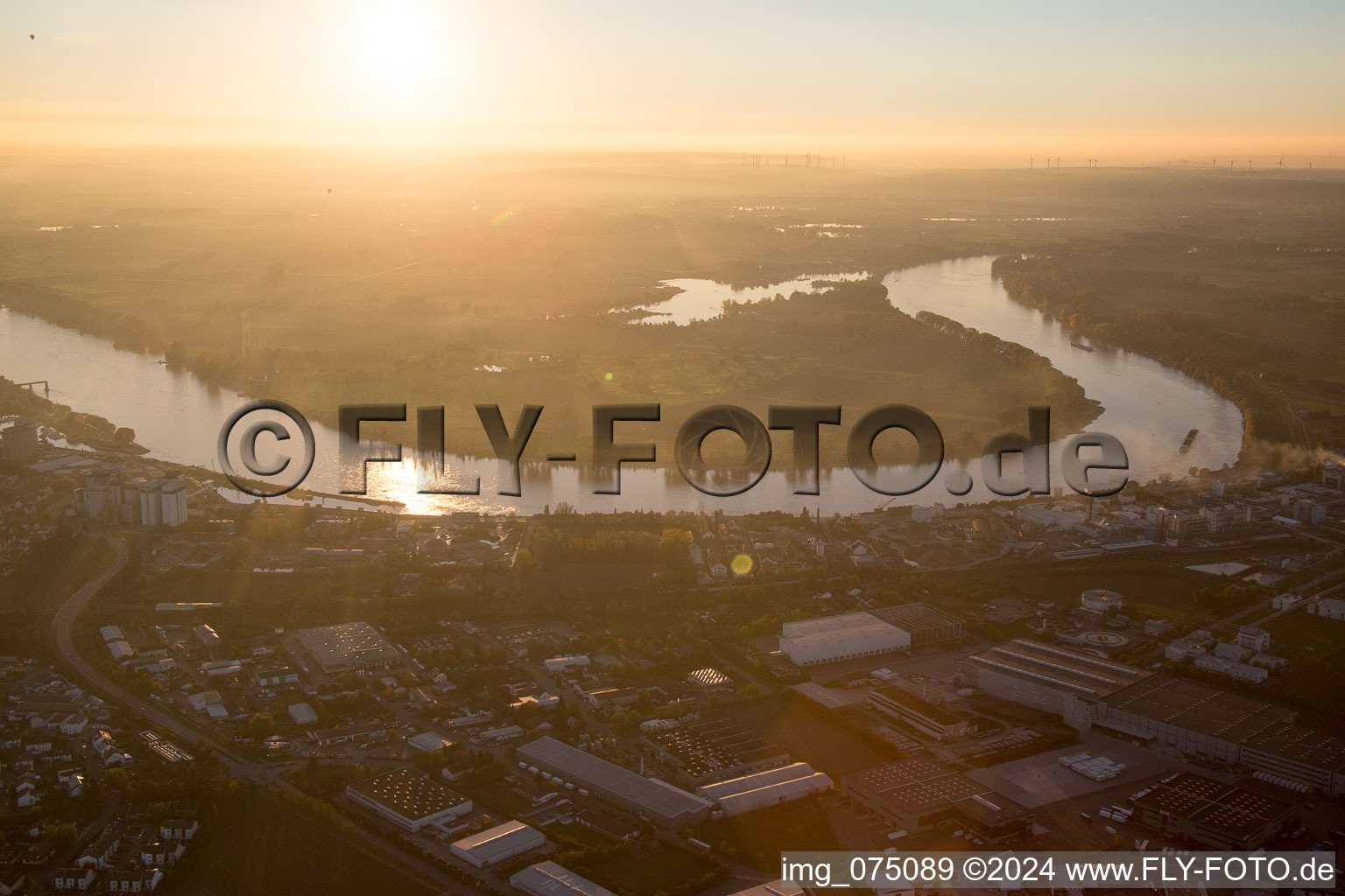 Vue aérienne de Boucle du Rhin à Gernsheim dans le département Hesse, Allemagne