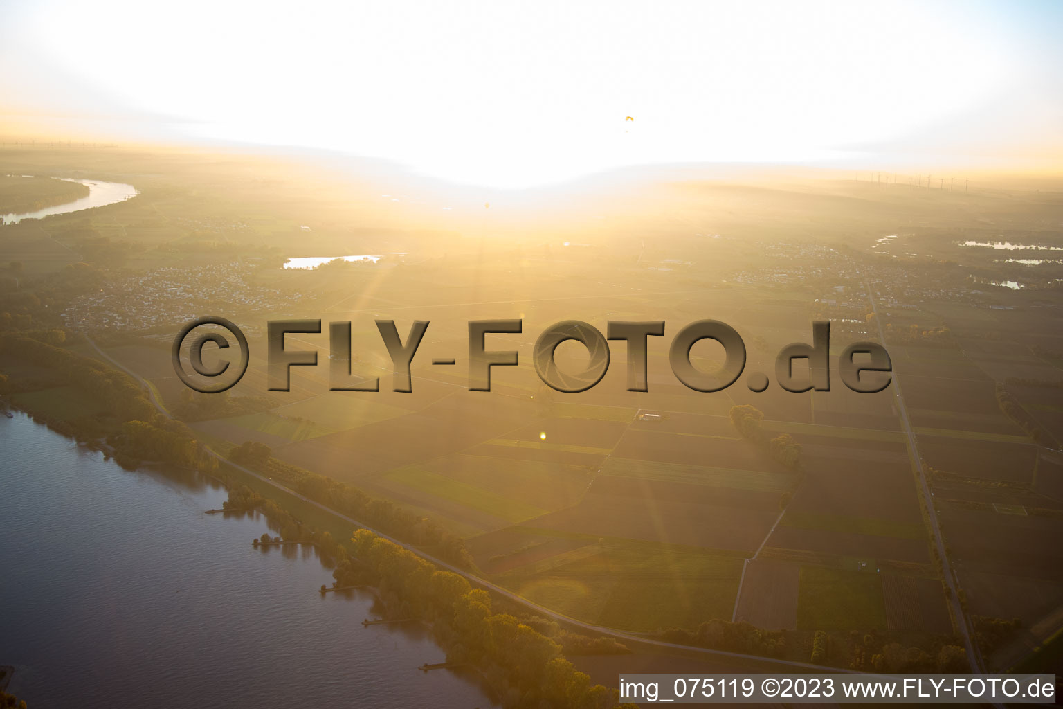 Photographie aérienne de Boucle du Rhin à Gernsheim dans le département Hesse, Allemagne