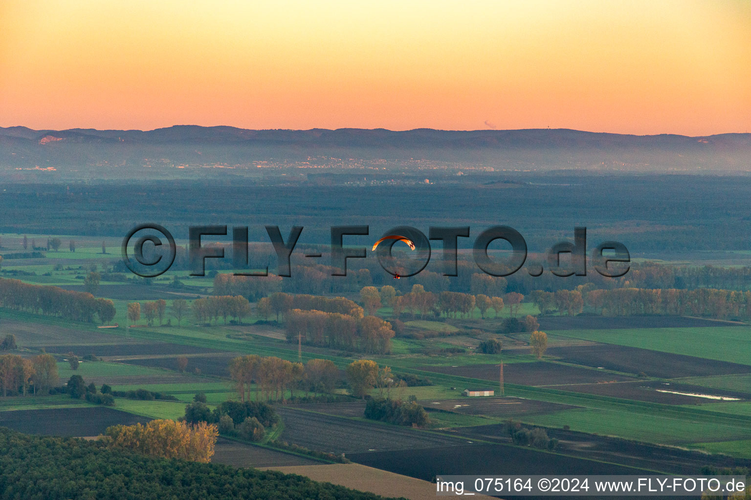 Vue aérienne de Vent arrière à nouveau vers SS vers Bürstadt UL à Biblis dans le département Hesse, Allemagne