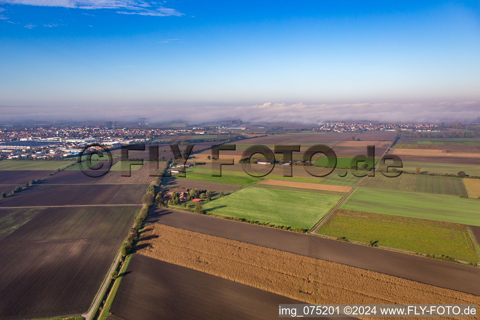 Vue aérienne de Bürstadt dans le département Hesse, Allemagne