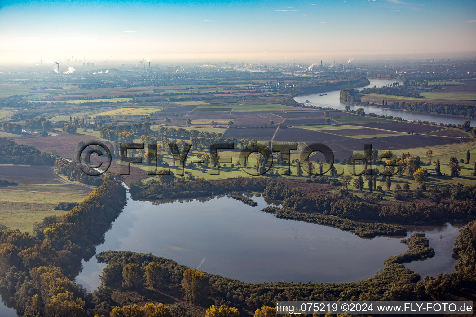 Vue aérienne de Lampertheimer Althrein au Welschen Loch à Lampertheim dans le département Hesse, Allemagne