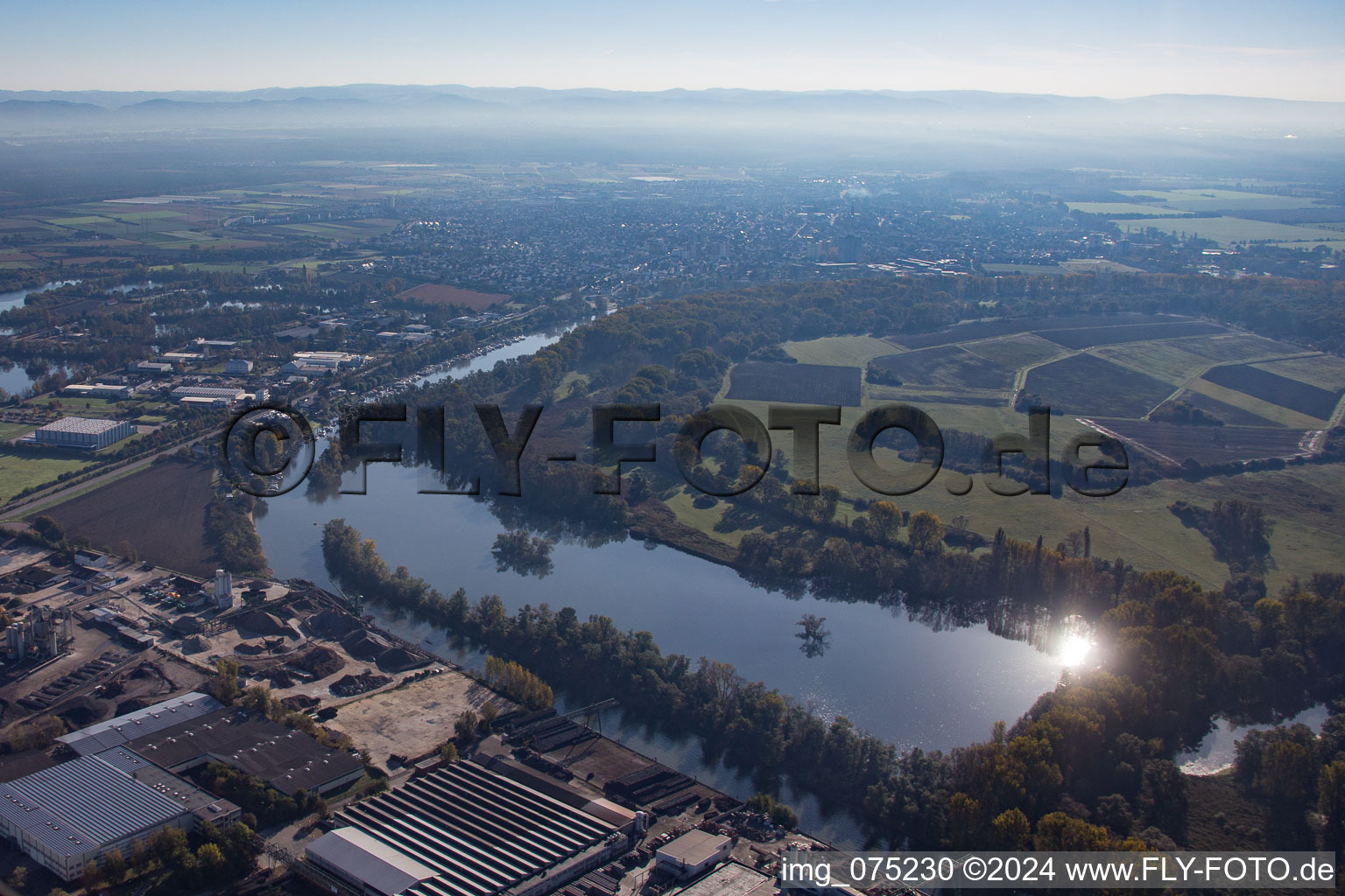 Vue aérienne de Réserve naturelle Lampertheimer Althrein et Biedensand à Lampertheim dans le département Hesse, Allemagne