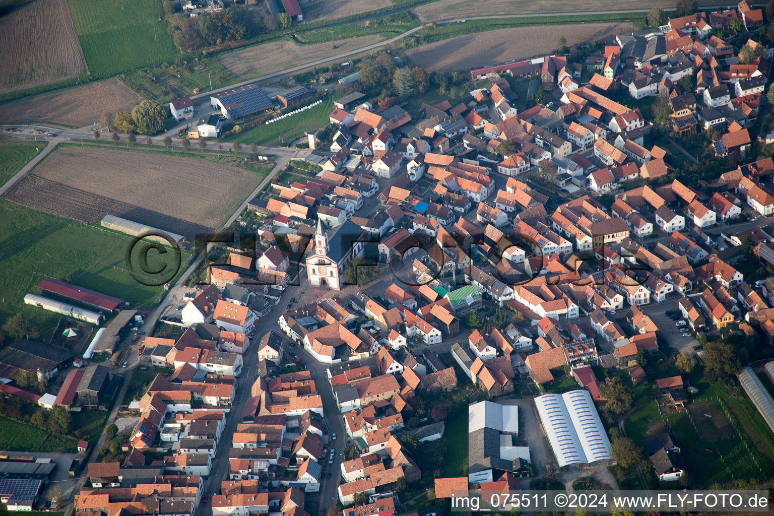 Neupotz dans le département Rhénanie-Palatinat, Allemagne vue d'en haut