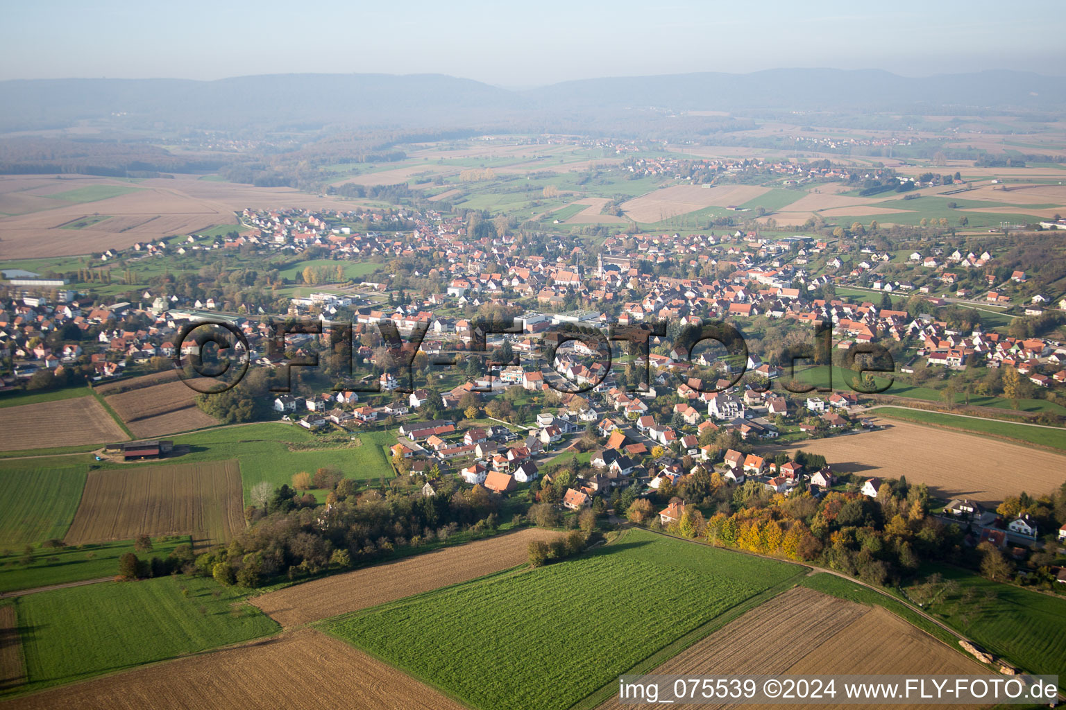 Photographie aérienne de Soultz-sous-Forêts dans le département Bas Rhin, France