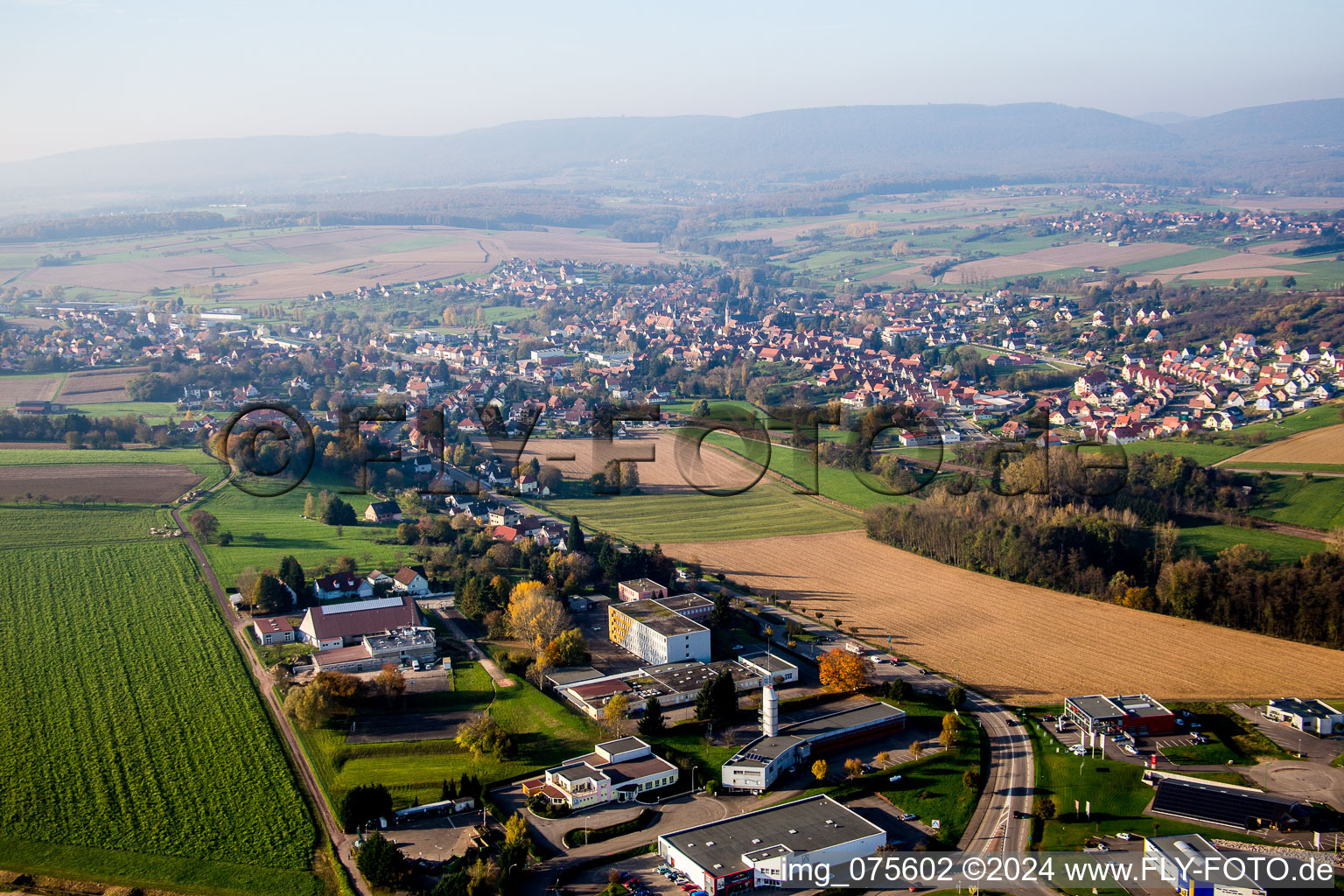 Vue aérienne de Champs agricoles et surfaces utilisables à Soultz-sous-Forêts dans le département Bas Rhin, France