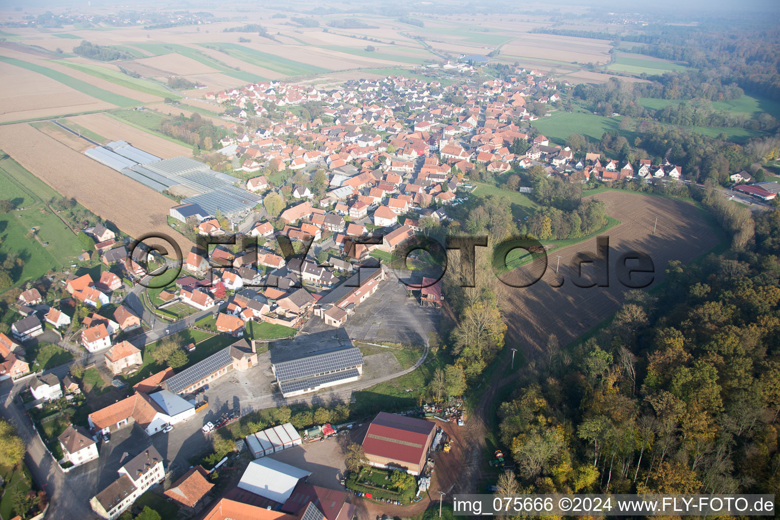 Niederrœdern dans le département Bas Rhin, France vue du ciel