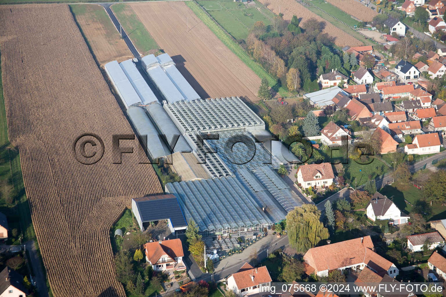 Image drone de Niederrœdern dans le département Bas Rhin, France