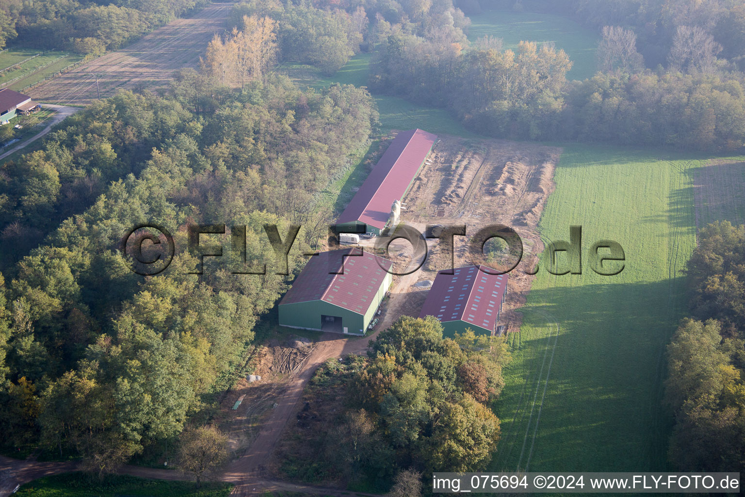 Vue aérienne de Schaffhouse-près-Seltz dans le département Bas Rhin, France