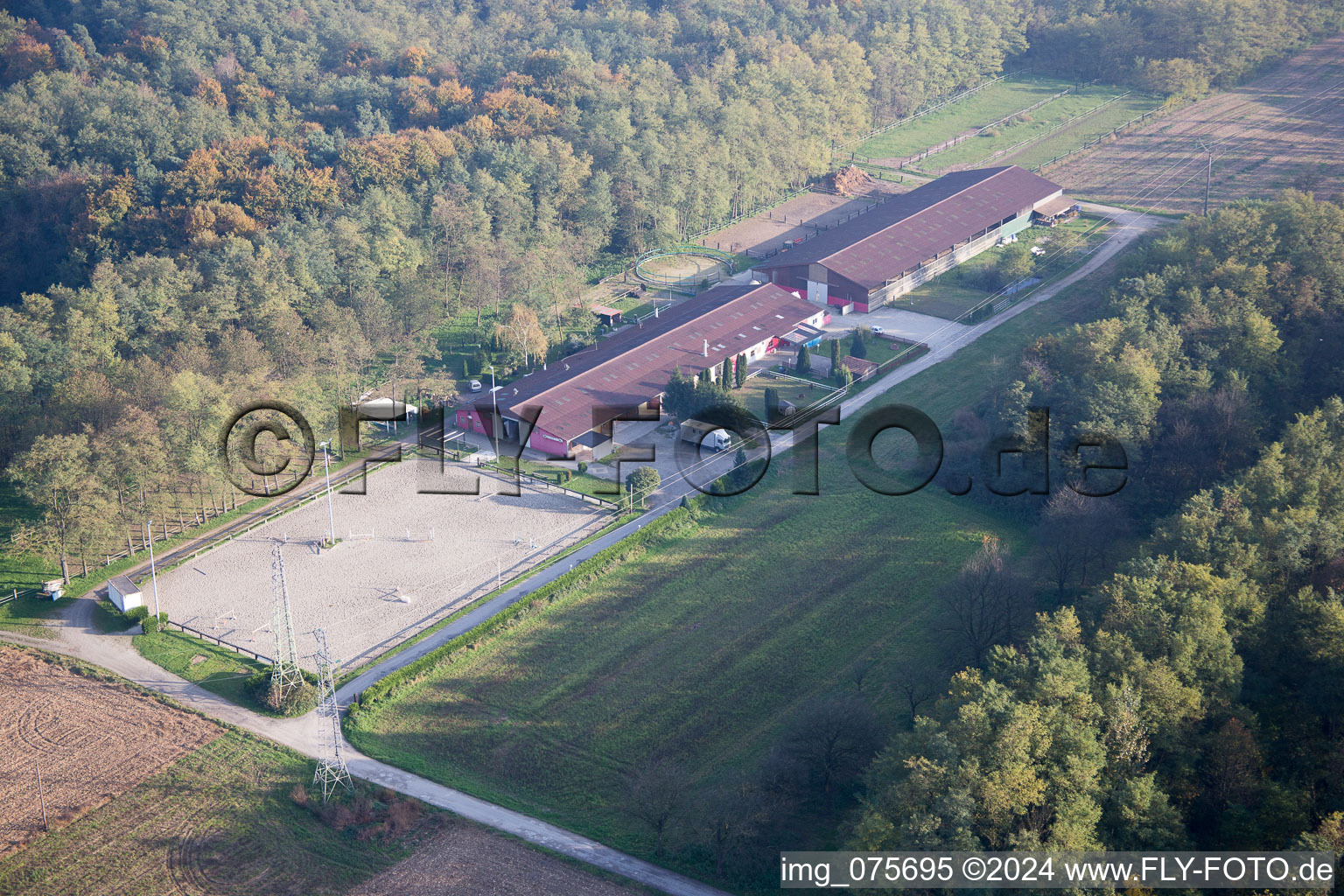 Photographie aérienne de Schaffhouse-près-Seltz dans le département Bas Rhin, France