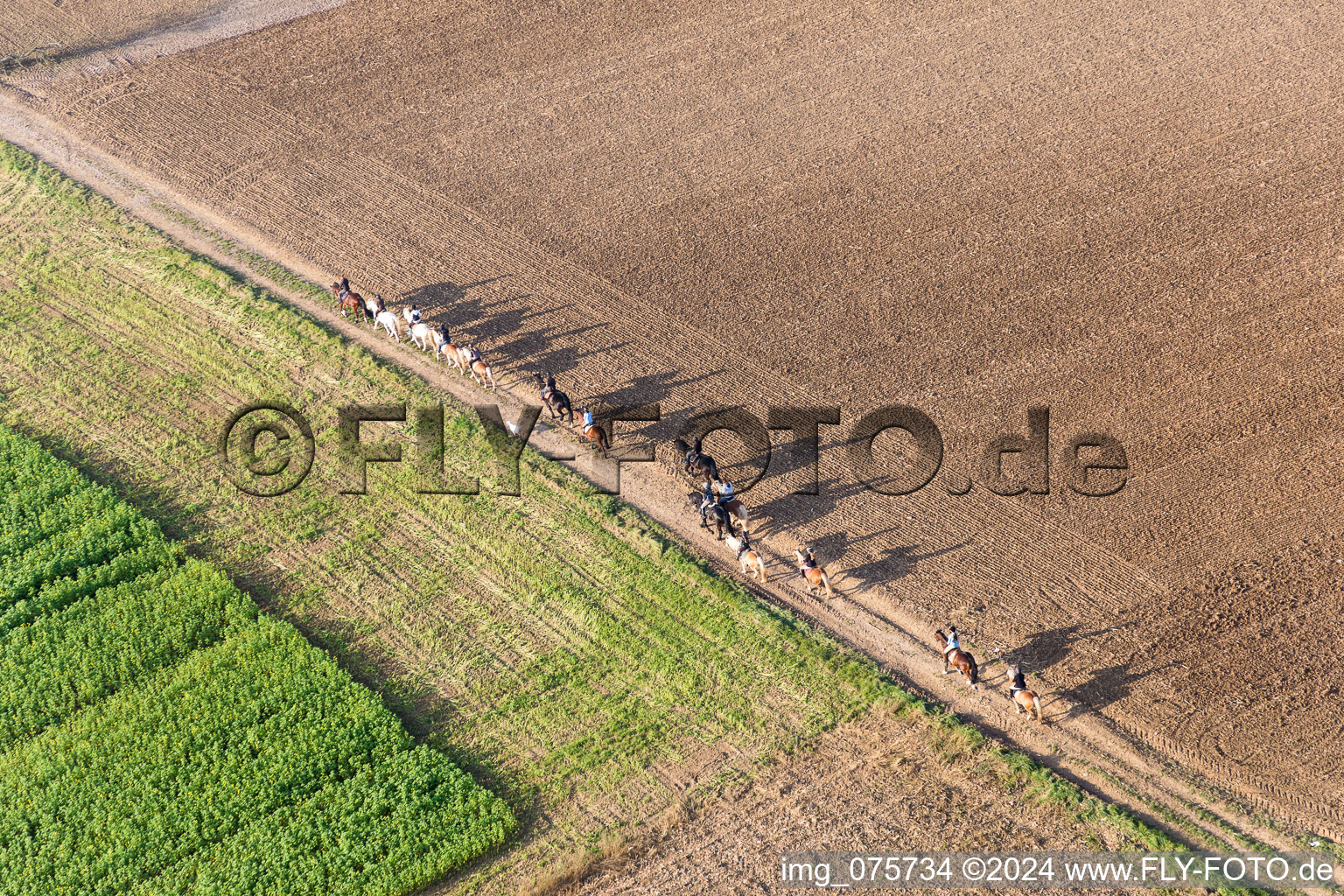 Vue aérienne de Groupe de coureurs sur chemin de terre à Wintzenbach à Mothern dans le département Bas Rhin, France