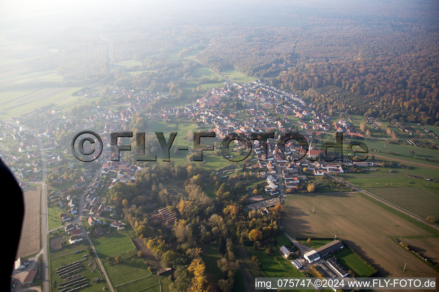 Vue aérienne de Scheibenhardt dans le département Rhénanie-Palatinat, Allemagne