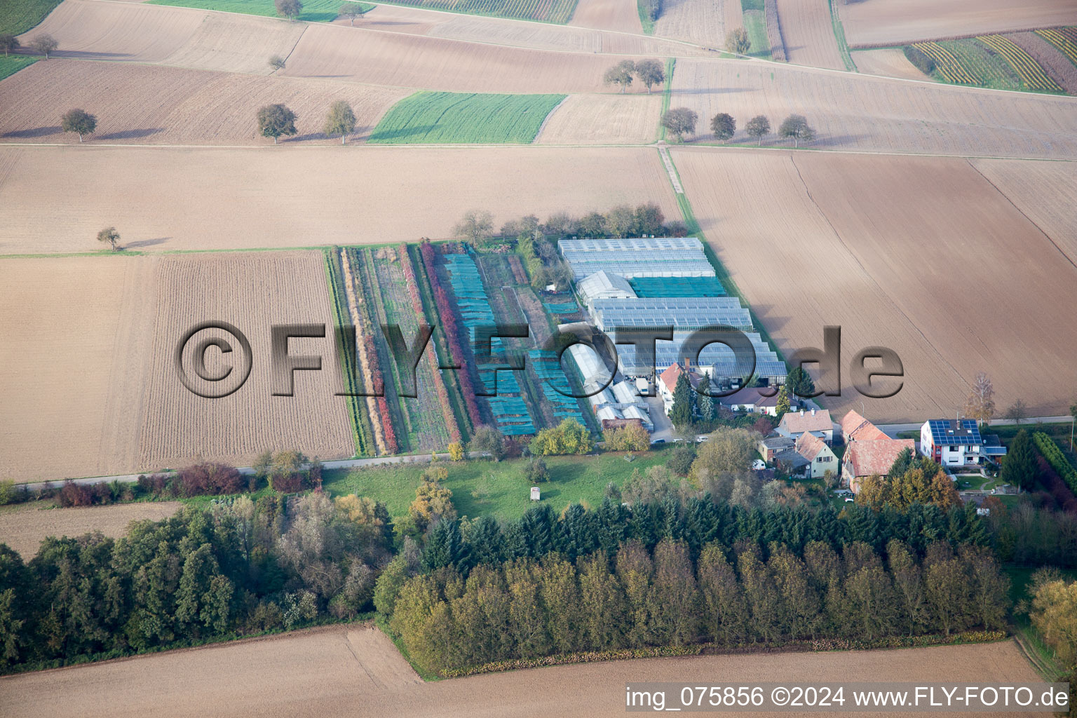 Vue aérienne de Jardinage à Vollmersweiler dans le département Rhénanie-Palatinat, Allemagne